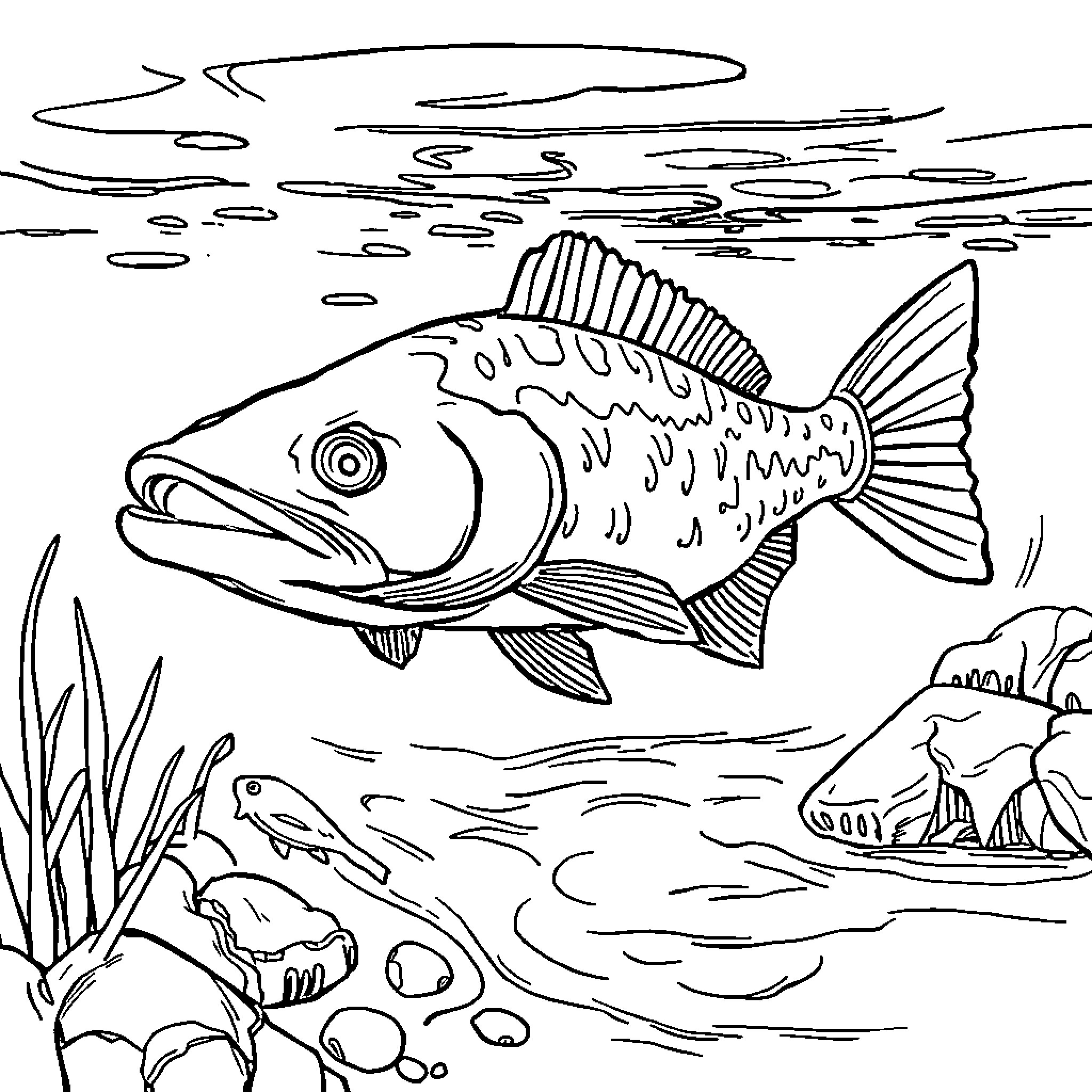 Catfish swimming in underwater landscape Coloring Page (free black-and-white line drawing printable PDF for all, from beginners to advanced learners, including children, teens, adults, and seniors)