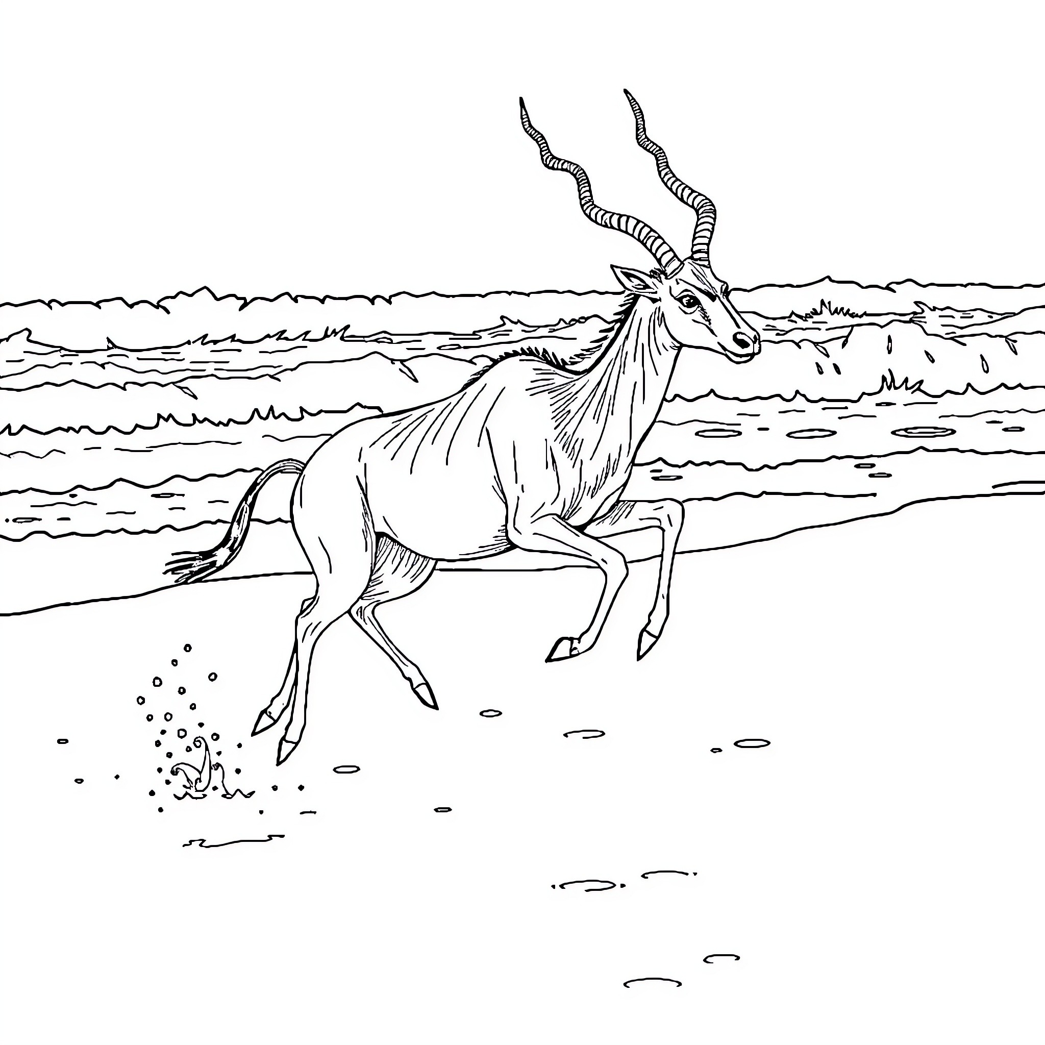 Kudu antelope running through the savanna Coloring Page (free black-and-white line drawing printable PDF for all, from beginners to advanced learners, including children, teens, adults, and seniors)