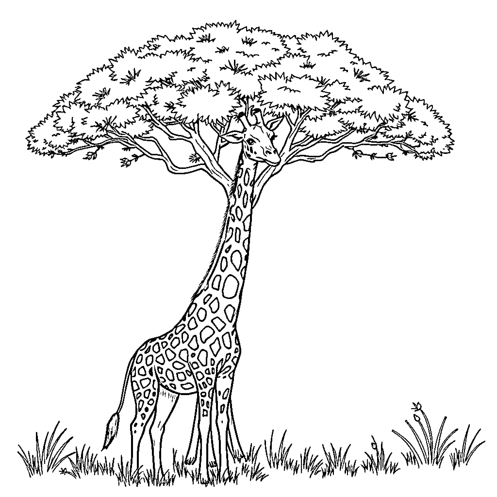 Giraffe standing beneath a towering tree Coloring Page (free black-and-white line drawing printable PDF for all, from beginners to advanced learners, including children, teens, adults, and seniors)