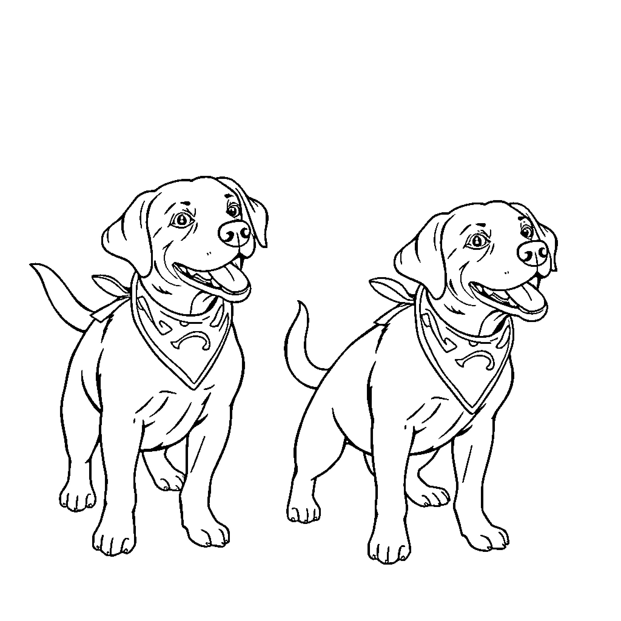 Labrador dogs posing happily with bandanas Coloring Page (free black-and-white line drawing printable PDF for all, from beginners to advanced learners, including children, teens, adults, and seniors)