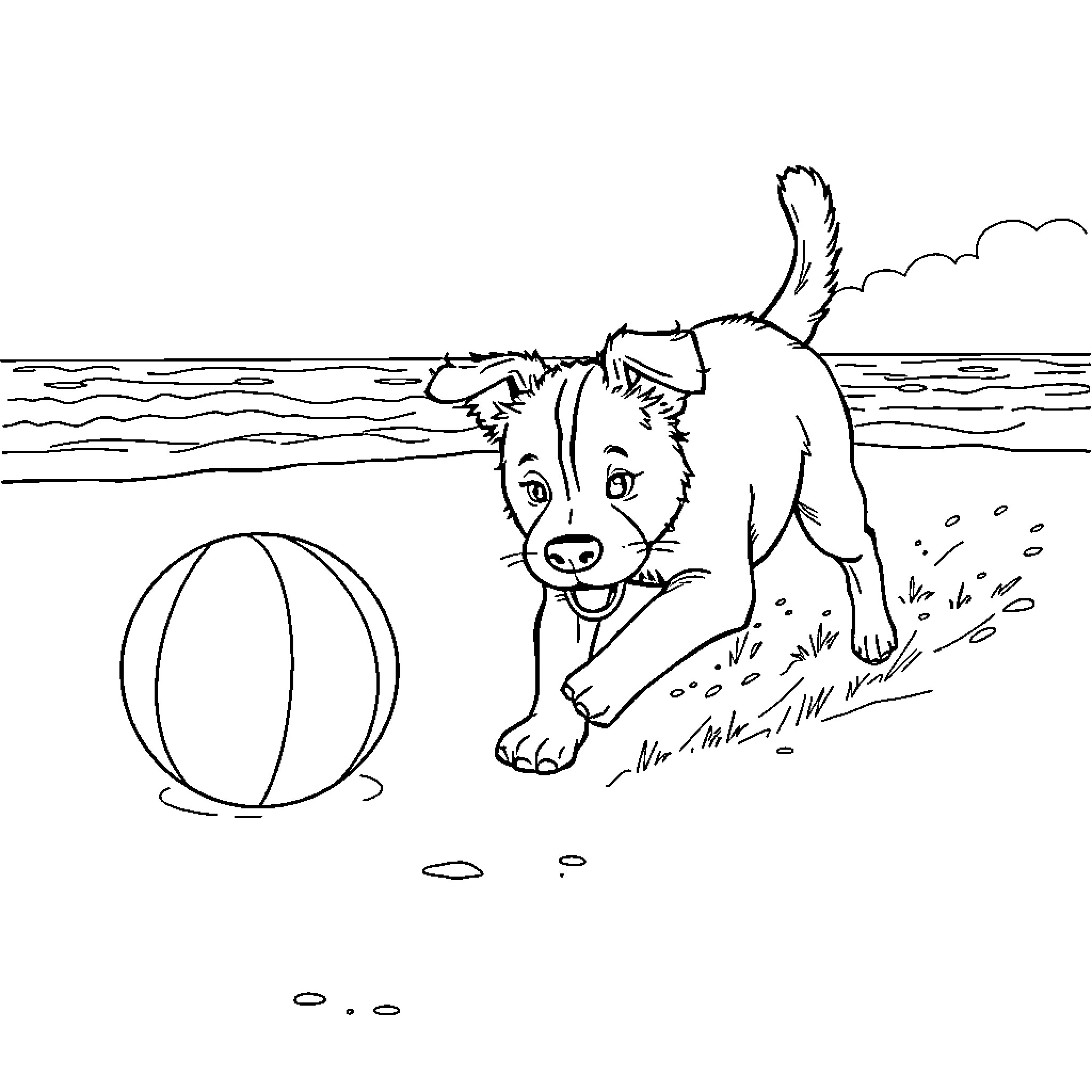 Dog playing with beach ball on the shore Coloring Page (free black-and-white line drawing printable PDF for all, from beginners to advanced learners, including children, teens, adults, and seniors)