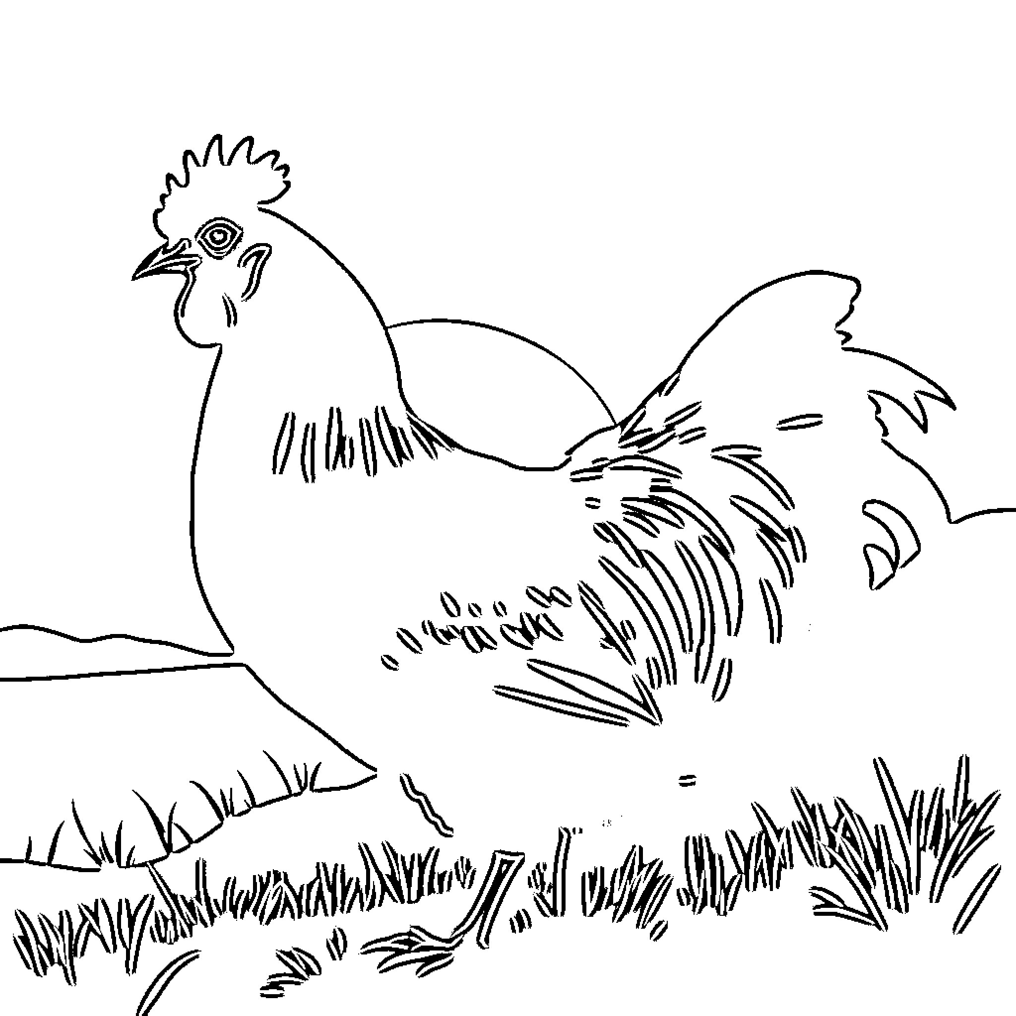 Chicken standing in a field Coloring Page (free black-and-white line drawing printable PDF for all, from beginners to advanced learners, including children, teens, adults, and seniors)