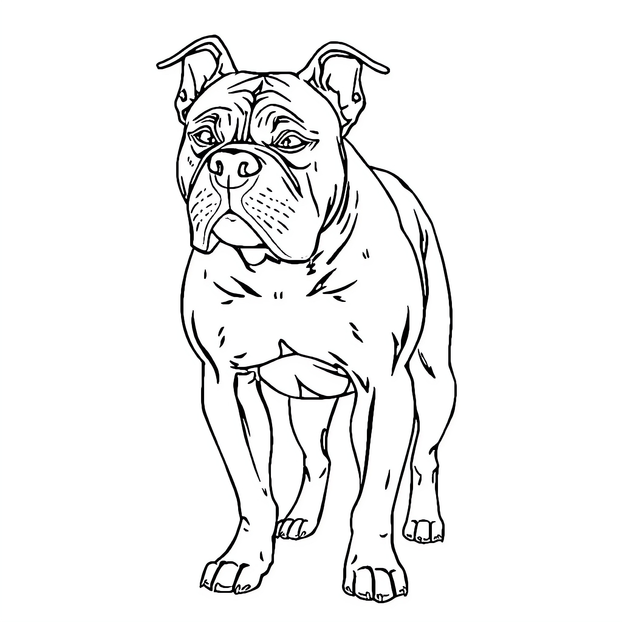 Pit Bull standing alert and focused Coloring Page (free black-and-white line drawing printable PDF for all, from beginners to advanced learners, including children, teens, adults, and seniors)