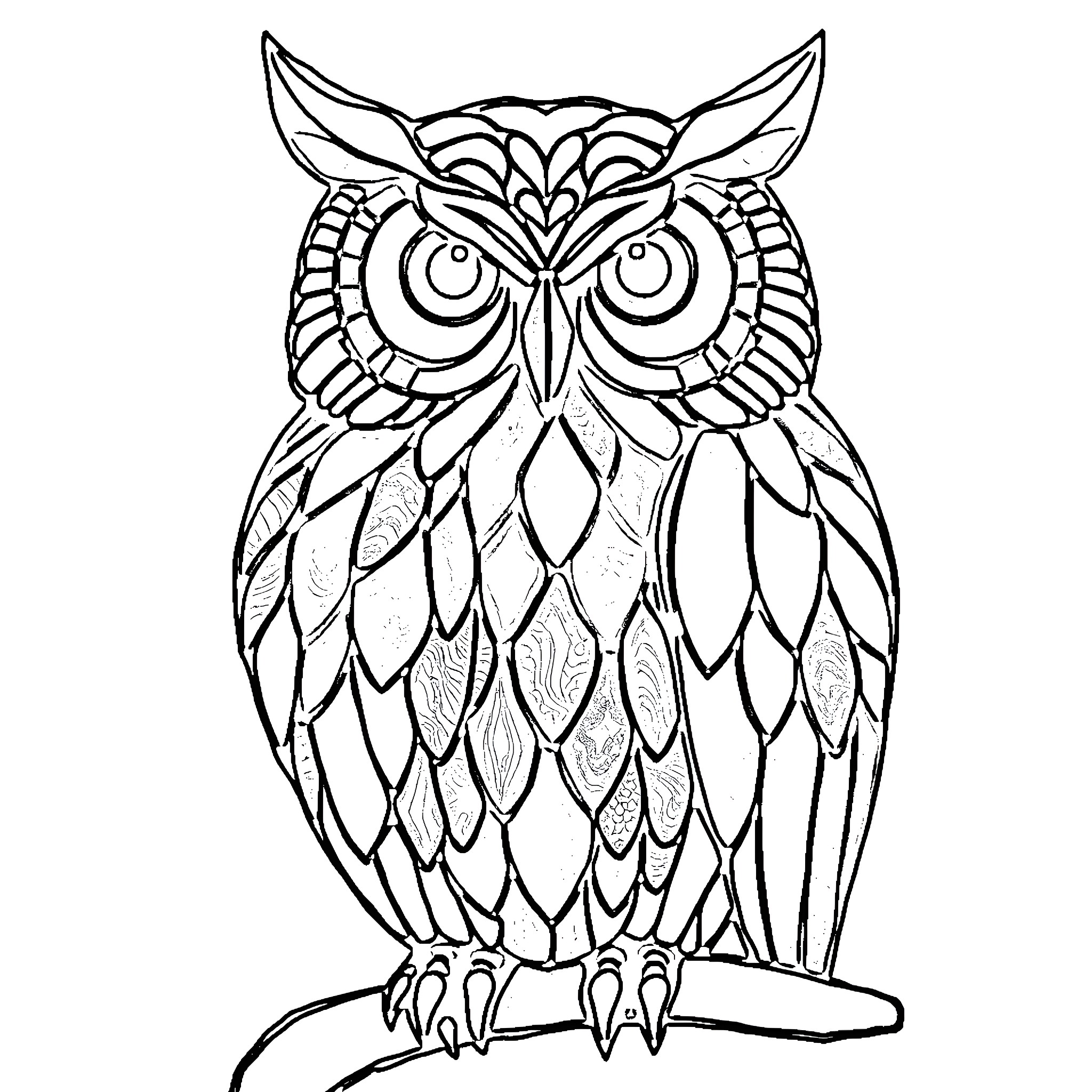 Owl with intricate feather pattern Coloring Page (free black-and-white line drawing printable PDF for all, from beginners to advanced learners, including children, teens, adults, and seniors)