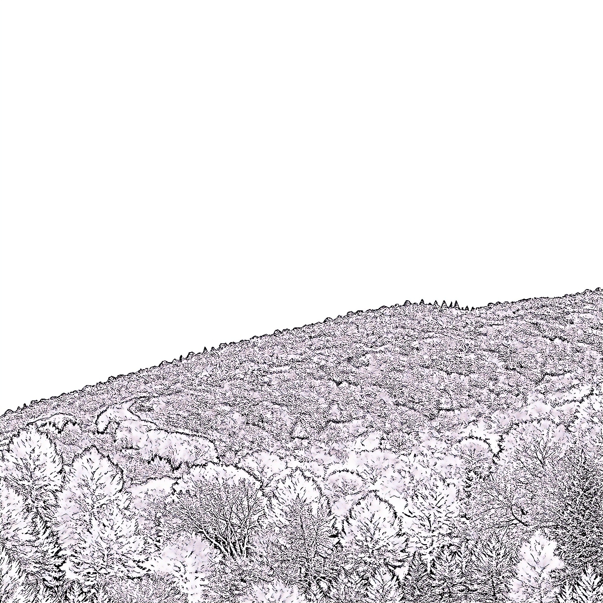 West Virginia scenic landscape with forest and mountains Coloring Page (free black-and-white line drawing printable PDF for all, from beginners to advanced learners, including children, teens, adults, and seniors)