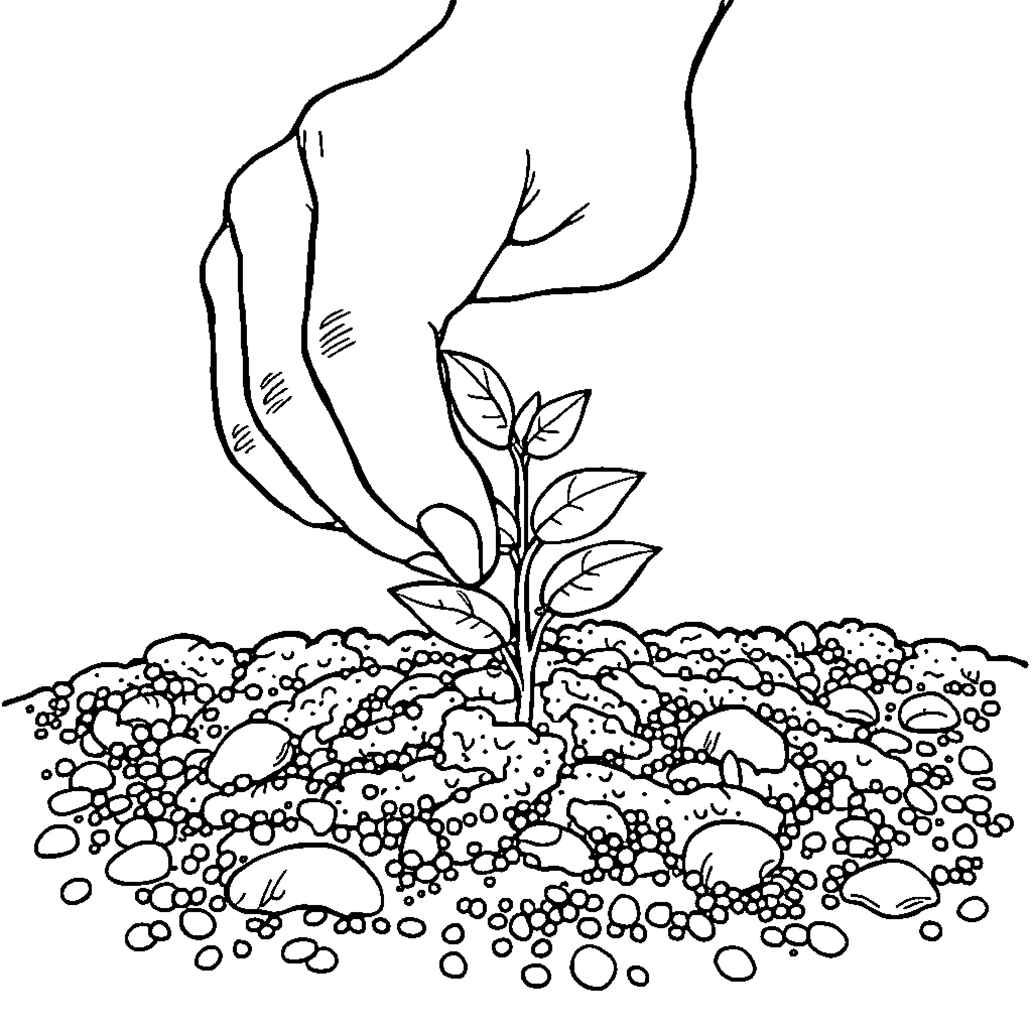 Nurture - Caring hands tending to plant seedling Coloring Page (free black-and-white line drawing printable PDF for all, from beginners to advanced learners, including children, teens, adults, and seniors)