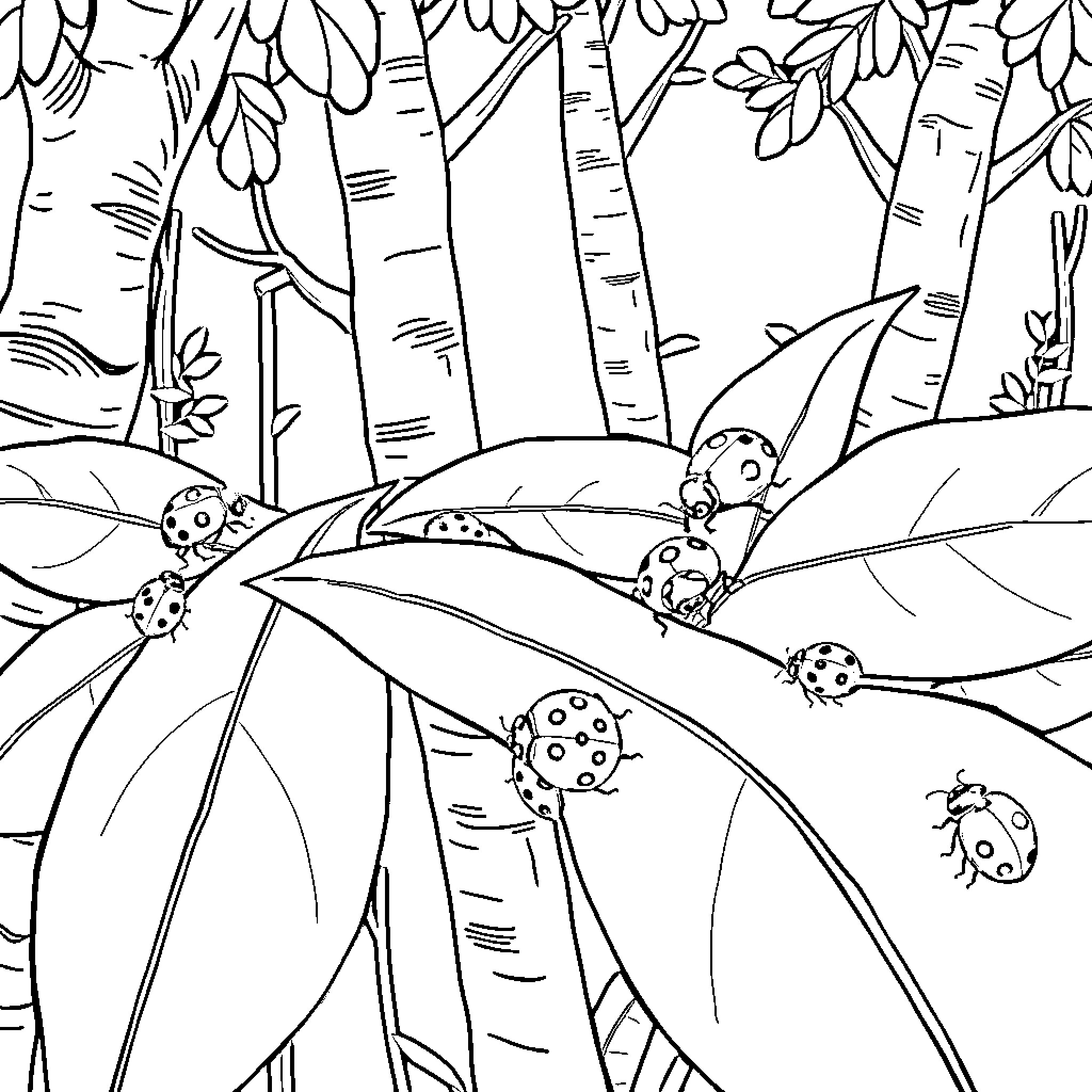 Ladybugs exploring the forest Coloring Page (free black-and-white line drawing printable PDF for all, from beginners to advanced learners, including children, teens, adults, and seniors)