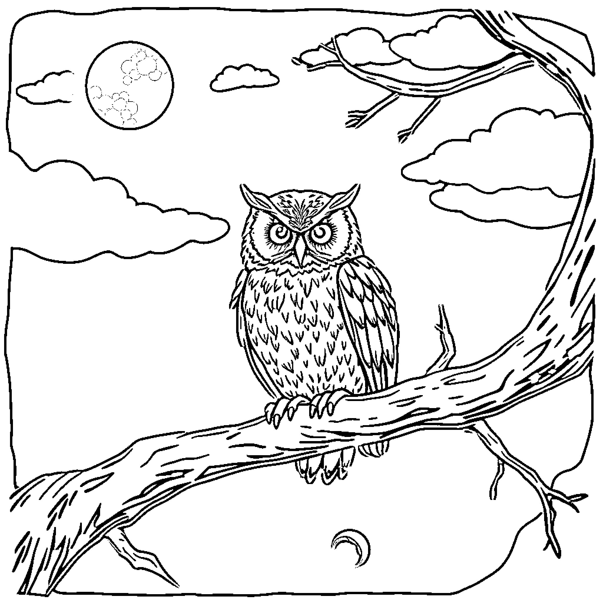 Owl perched on a branch under the moonlight Coloring Page (free black-and-white line drawing printable PDF for all, from beginners to advanced learners, including children, teens, adults, and seniors)