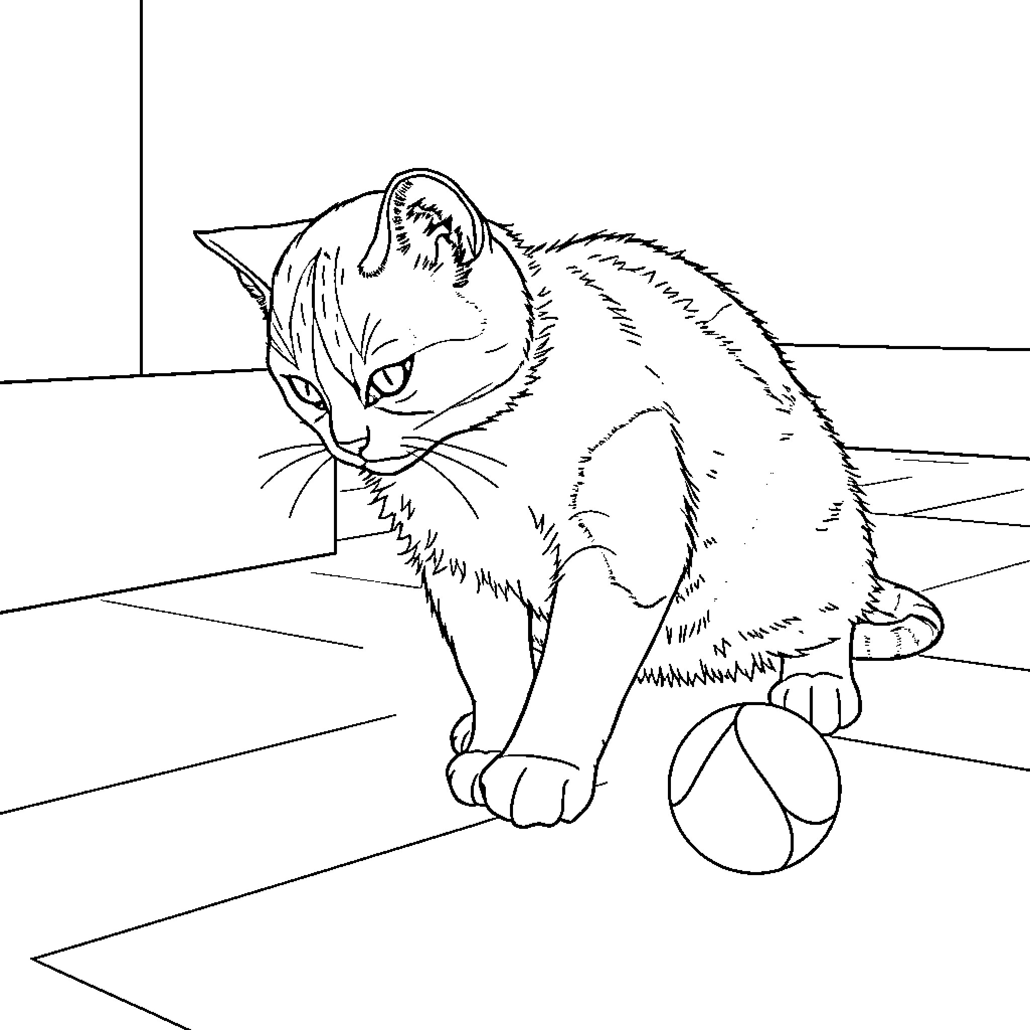 Cat relaxing on a patterned floor Coloring Page (free black-and-white line drawing printable PDF for all, from beginners to advanced learners, including children, teens, adults, and seniors)
