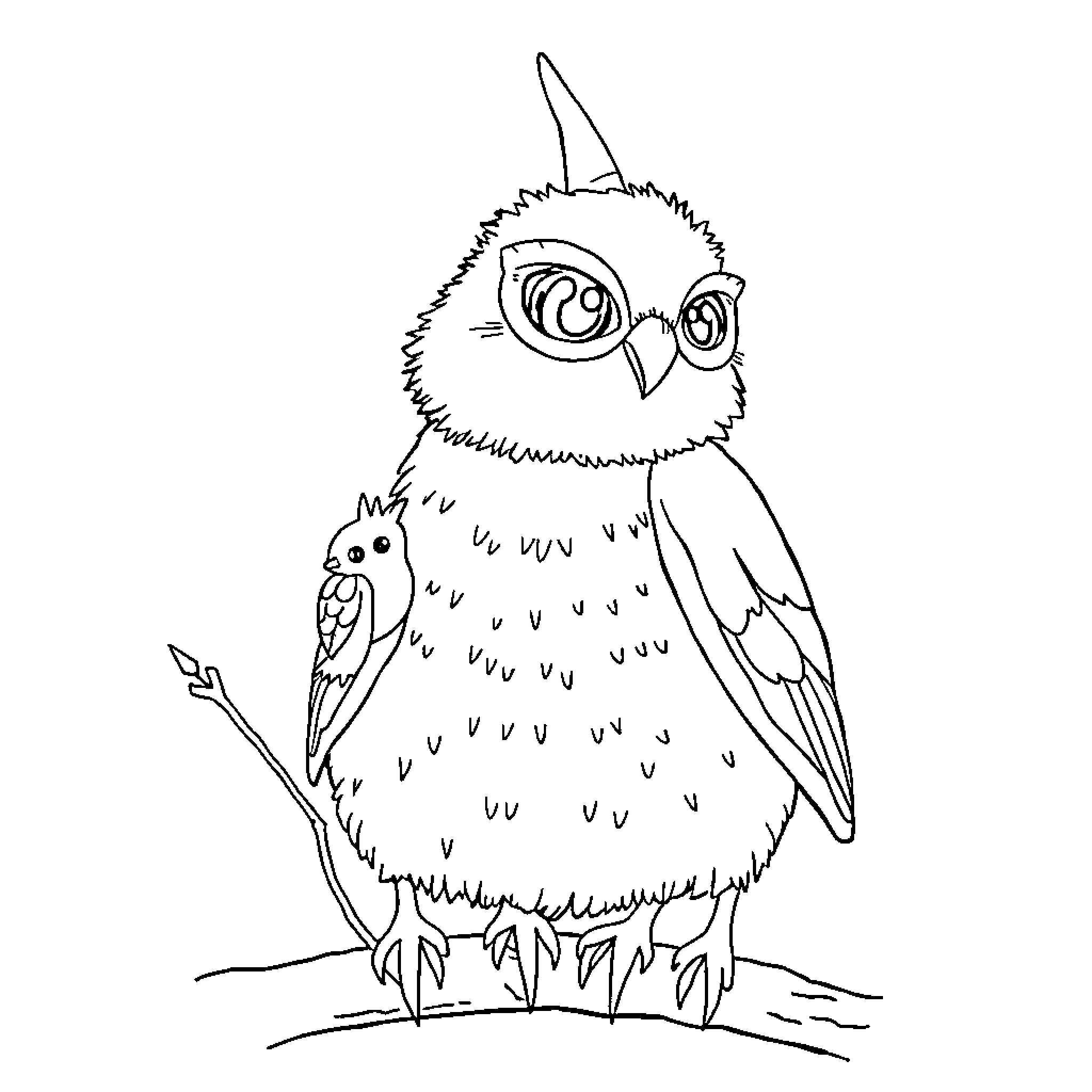 Boy Owl with Tiny Companion Owl Coloring Page (free black-and-white line drawing printable PDF for all, from beginners to advanced learners, including children, teens, adults, and seniors)
