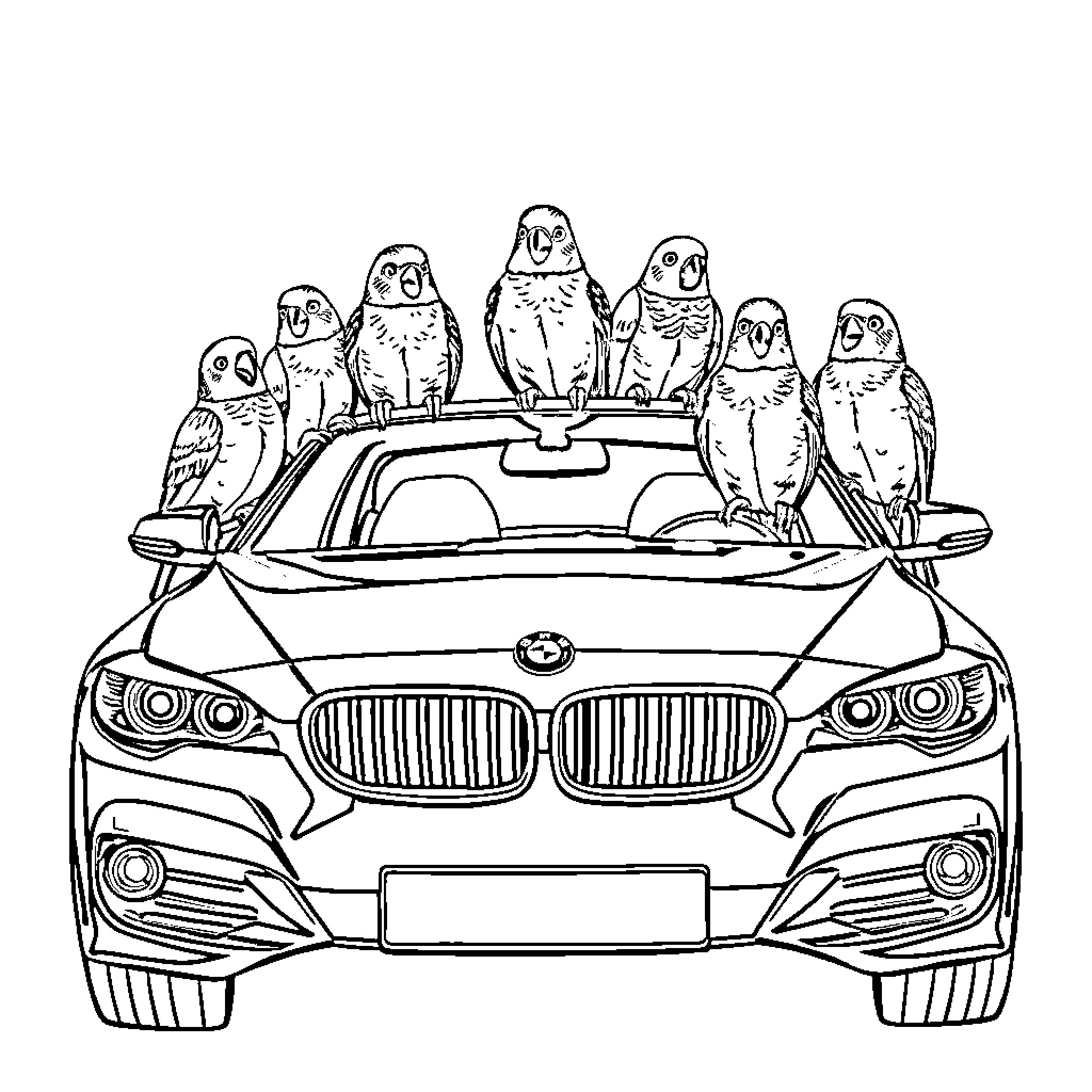 Bird friends riding in a car together Coloring Page (free black-and-white line drawing printable PDF for all, from beginners to advanced learners, including children, teens, adults, and seniors)