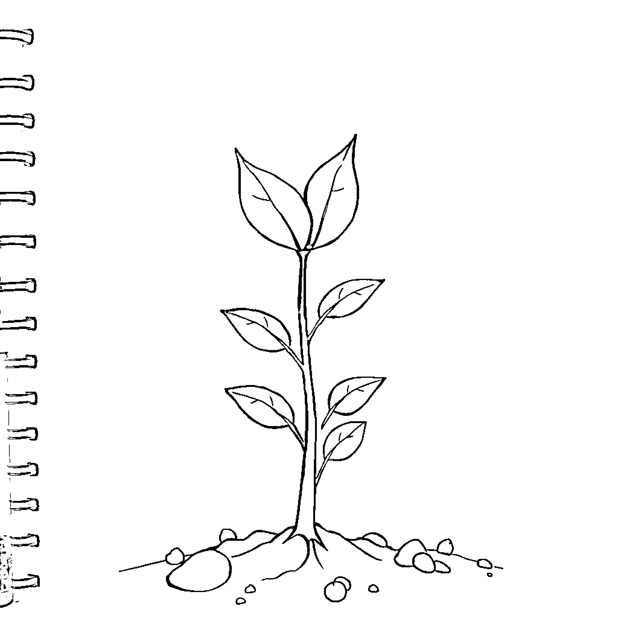 Sprout emerging from the earth Coloring Page (free black-and-white line drawing printable PDF for all, from beginners to advanced learners, including children, teens, adults, and seniors)