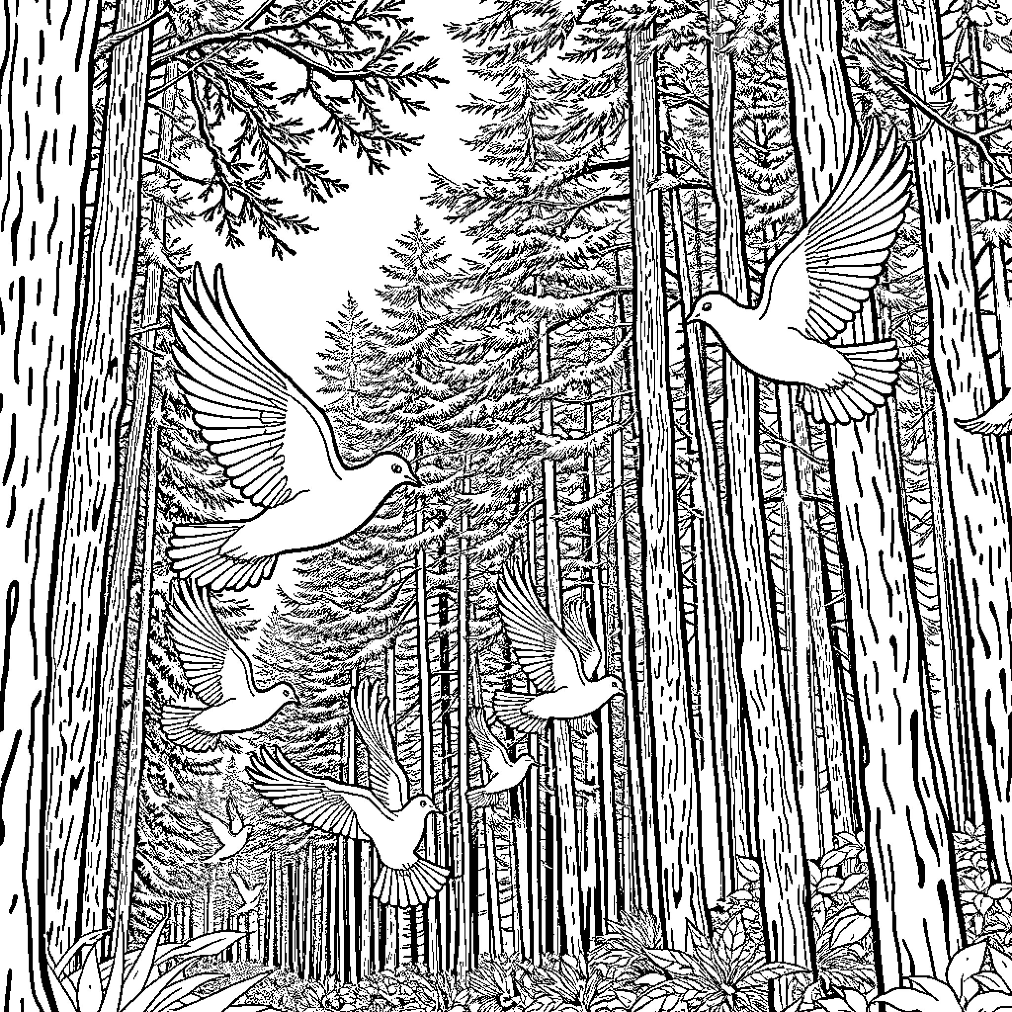 Clay Pigeon Flock of Birds Flying Through Forest Coloring Page (free black-and-white line drawing printable PDF for all, from beginners to advanced learners, including children, teens, adults, and seniors)