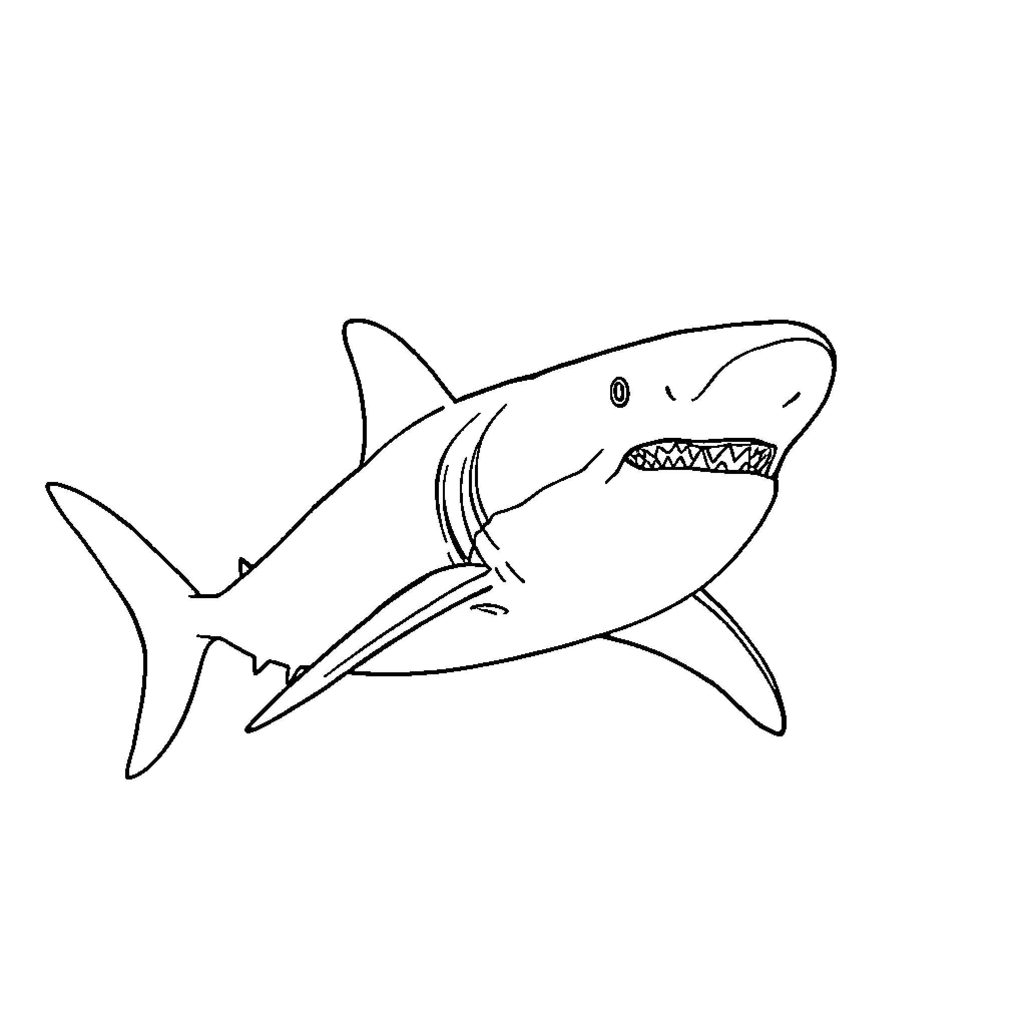 Shark lunging with open jaws Coloring Page (free black-and-white line drawing printable PDF for all, from beginners to advanced learners, including children, teens, adults, and seniors)