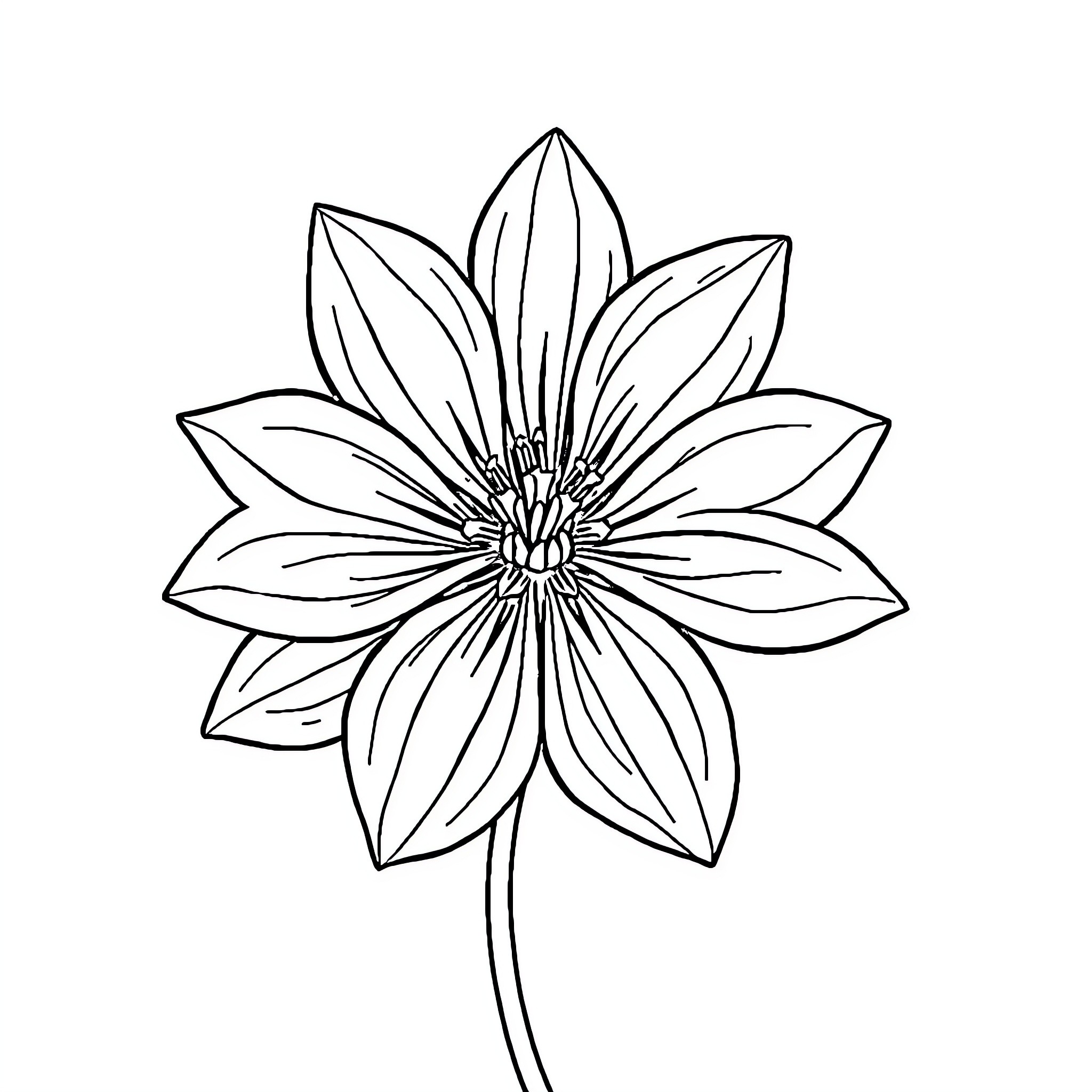 Flower with intricate petals and center Coloring Page (free black-and-white line drawing printable PDF for all, from beginners to advanced learners, including children, teens, adults, and seniors)