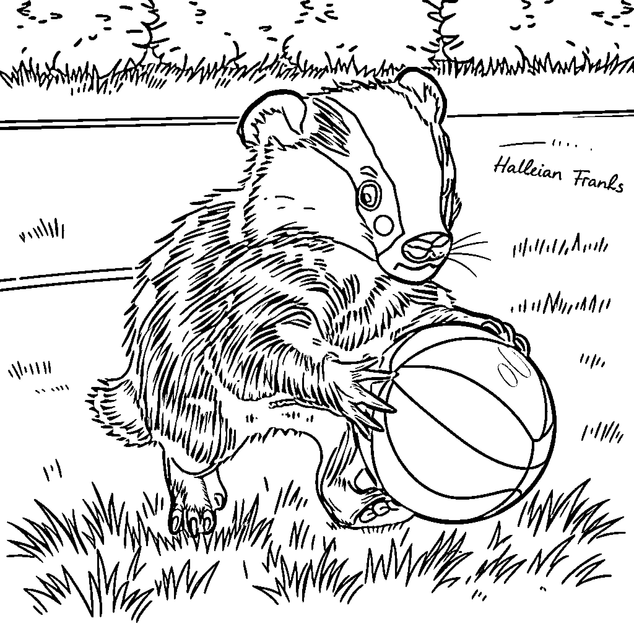 Honeybadger rolling around with a ball in the grass Coloring Page (free black-and-white line drawing printable PDF for all, from beginners to advanced learners, including children, teens, adults, and seniors)