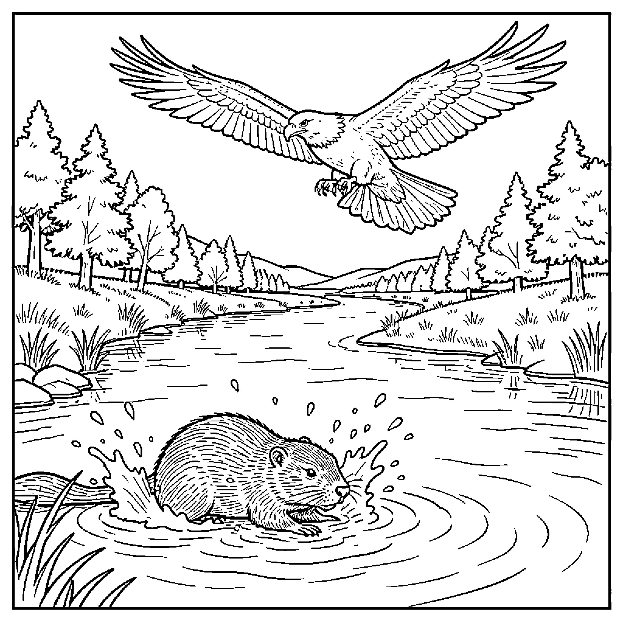 Beaver swimming in a peaceful river with a soaring eagle overhead Coloring Page (free black-and-white line drawing printable PDF for all, from beginners to advanced learners, including children, teens, adults, and seniors)