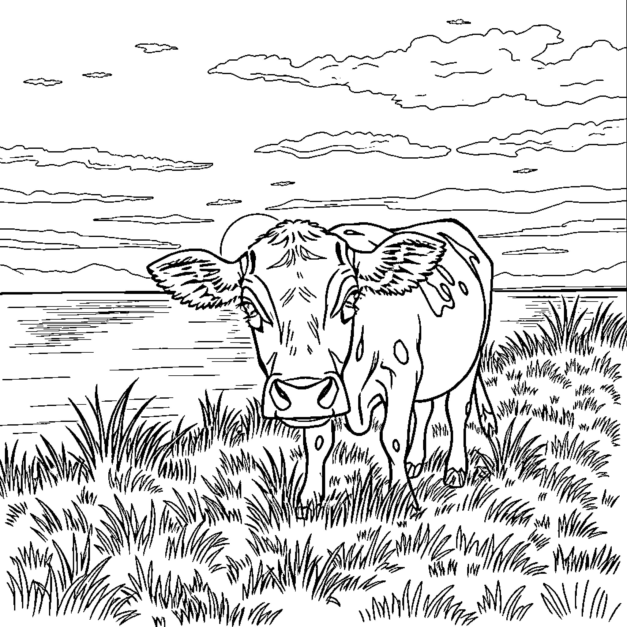 Cow grazing peacefully in the countryside Coloring Page (free black-and-white line drawing printable PDF for all, from beginners to advanced learners, including children, teens, adults, and seniors)