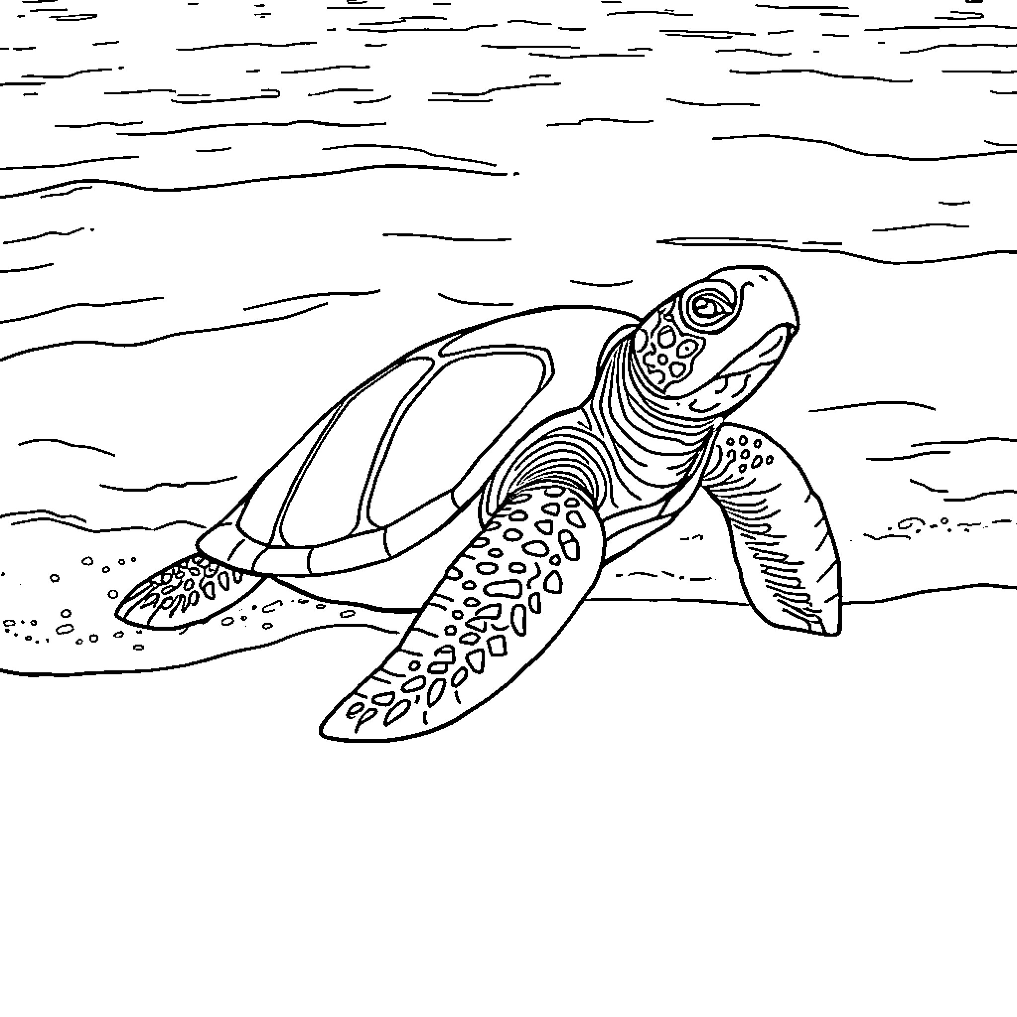 Turtle swimming through the underwater world Coloring Page (free black-and-white line drawing printable PDF for all, from beginners to advanced learners, including children, teens, adults, and seniors)