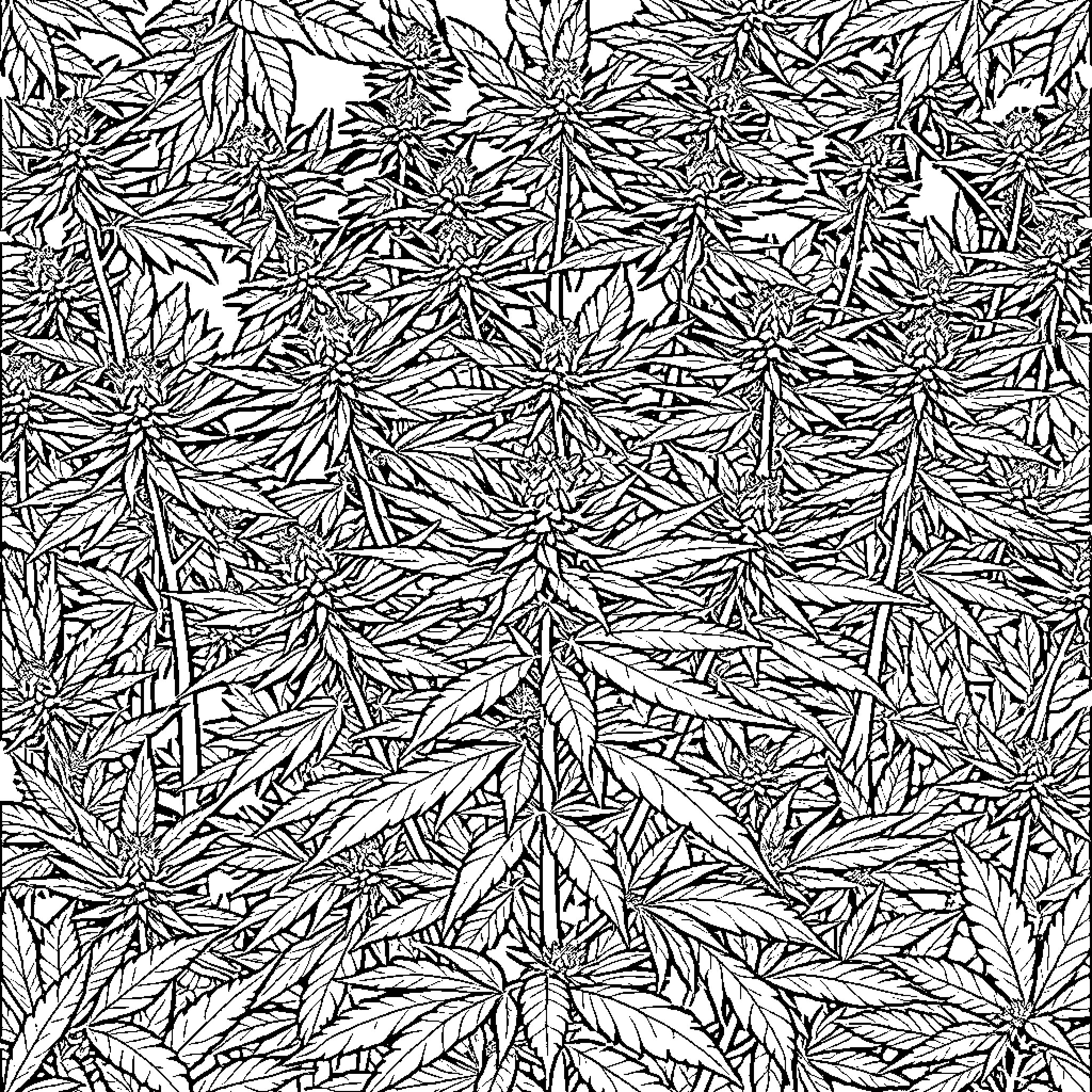 Marijuana Leaves and Patterns Coloring Page (free black-and-white line drawing printable PDF for all, from beginners to advanced learners, including children, teens, adults, and seniors)