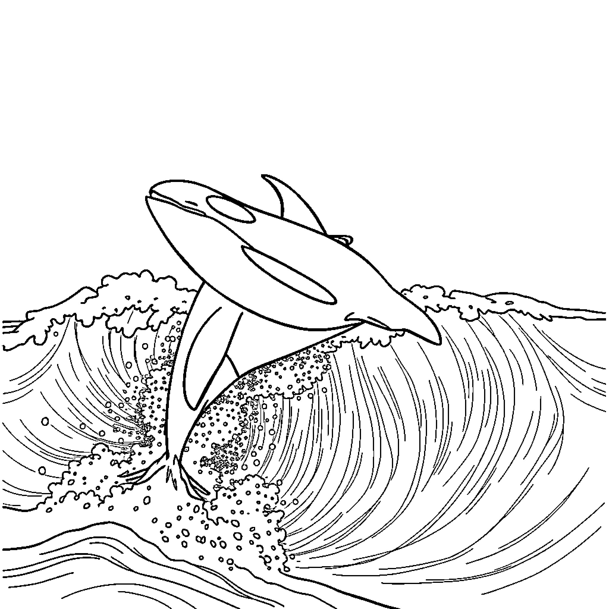 Orca breaching through crashing waves Coloring Page (free black-and-white line drawing printable PDF for all, from beginners to advanced learners, including children, teens, adults, and seniors)