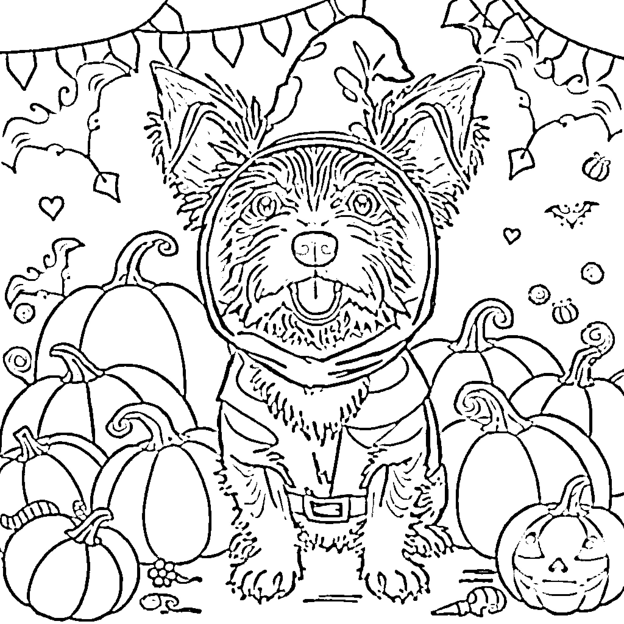 Teckel dog in pumpkin patch with decorations Coloring Page (free black-and-white line drawing printable PDF for all, from beginners to advanced learners, including children, teens, adults, and seniors)
