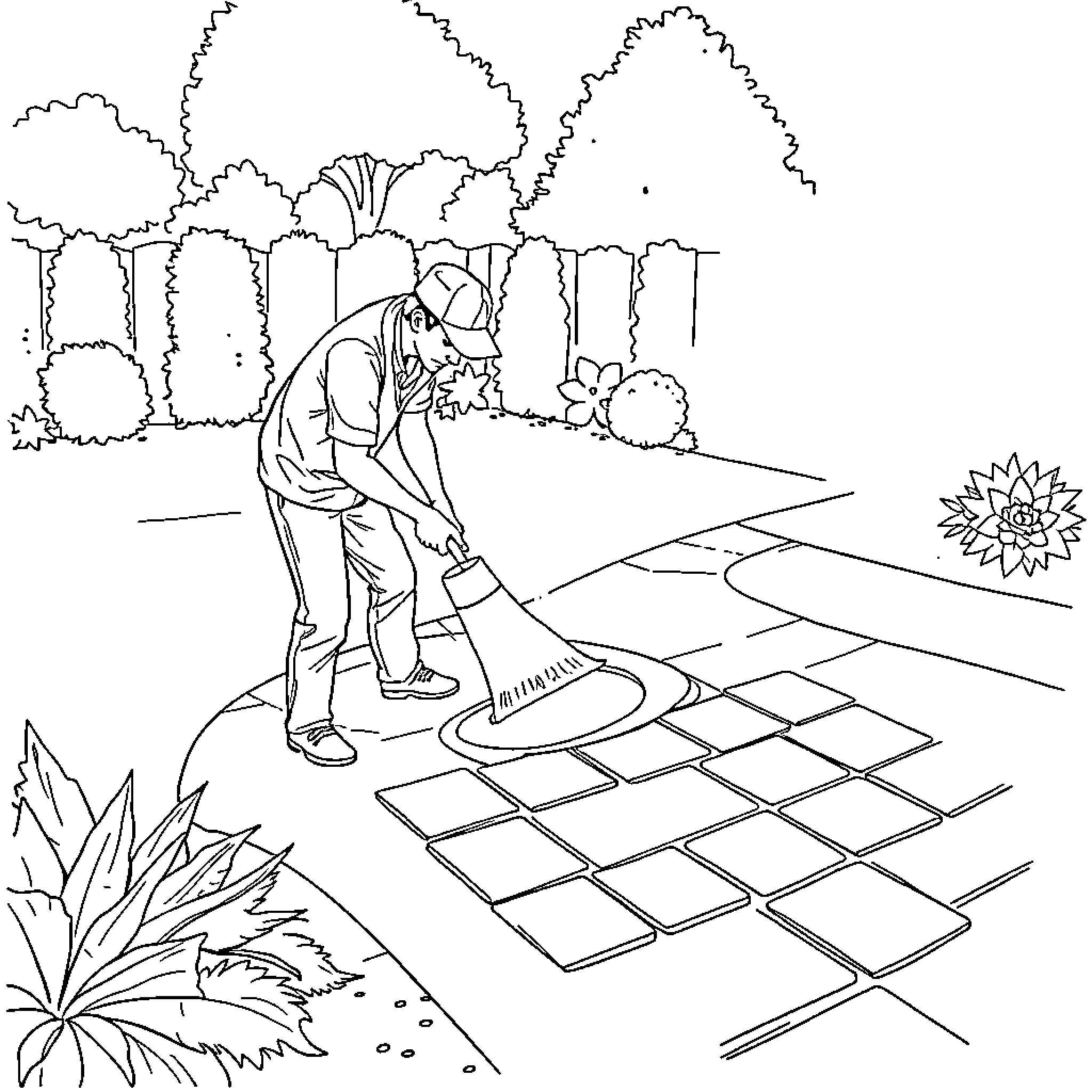 Seal cleaning a garden path with a broom Coloring Page (free black-and-white line drawing printable PDF for all, from beginners to advanced learners, including children, teens, adults, and seniors)