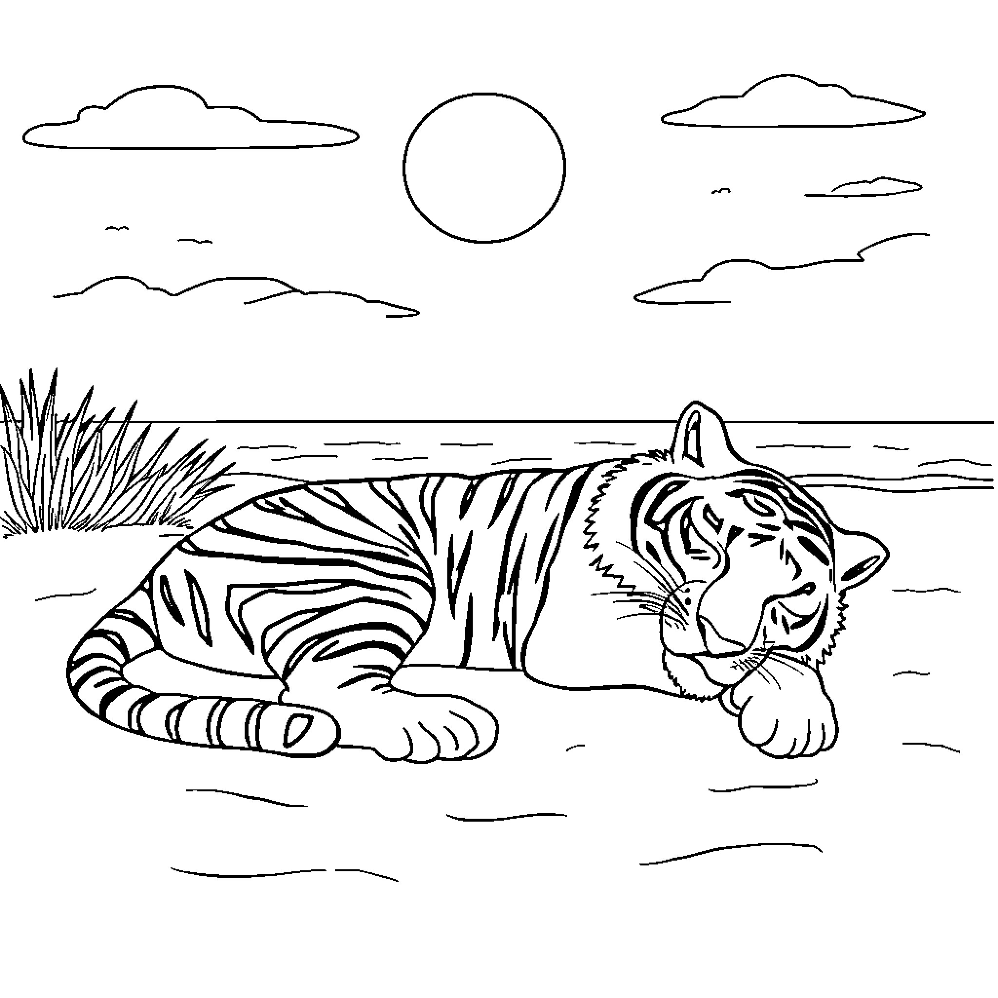 Tiger resting in serene landscape Coloring Page (free black-and-white line drawing printable PDF for all, from beginners to advanced learners, including children, teens, adults, and seniors)