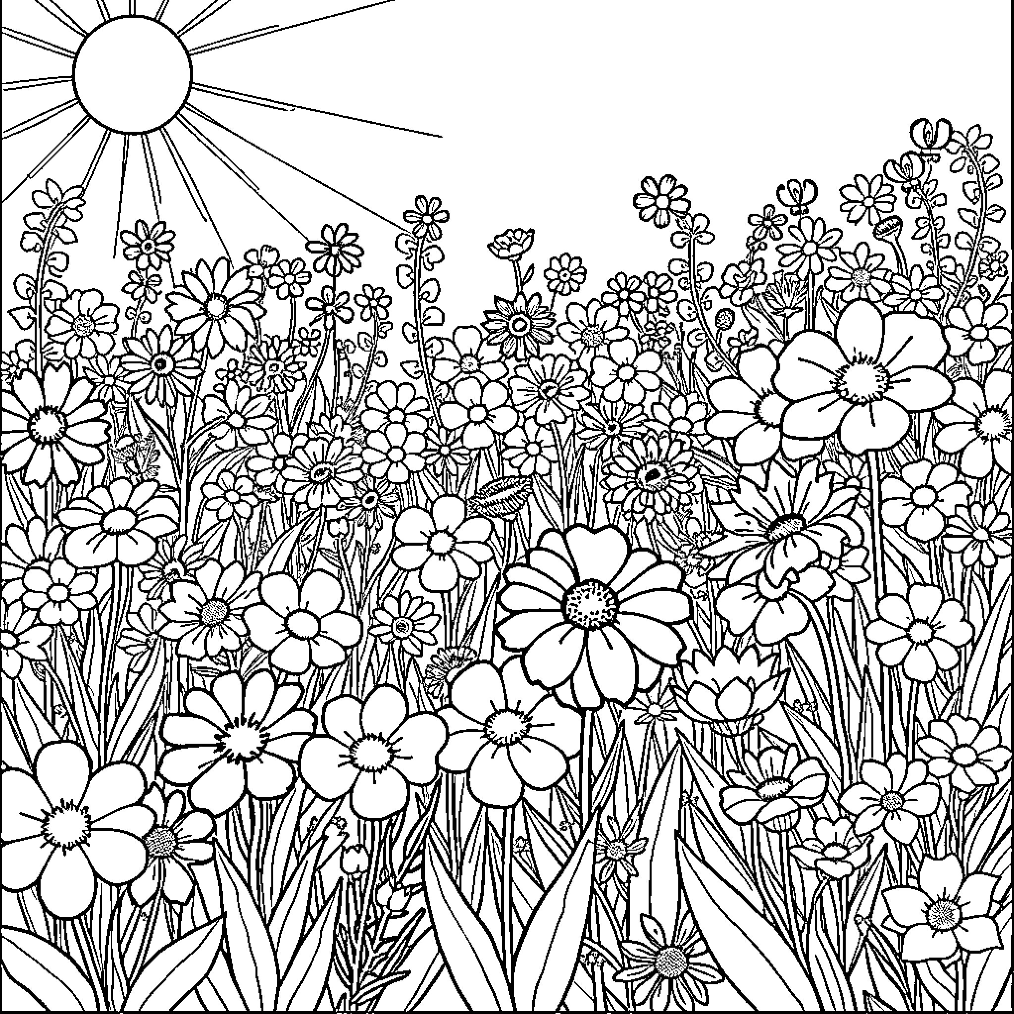 Flower field blooming in the sun Coloring Page (free black-and-white line drawing printable PDF for all, from beginners to advanced learners, including children, teens, adults, and seniors)