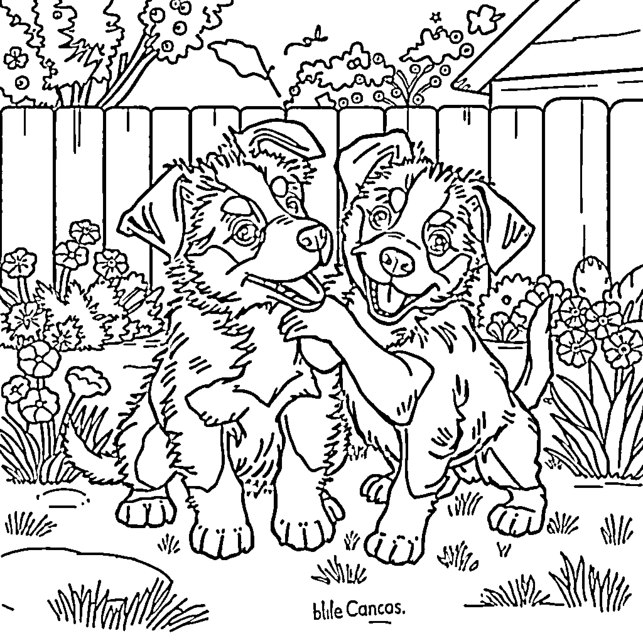 Bluey and Bingo playing together in the backyard Coloring Page (free black-and-white line drawing printable PDF for all, from beginners to advanced learners, including children, teens, adults, and seniors)
