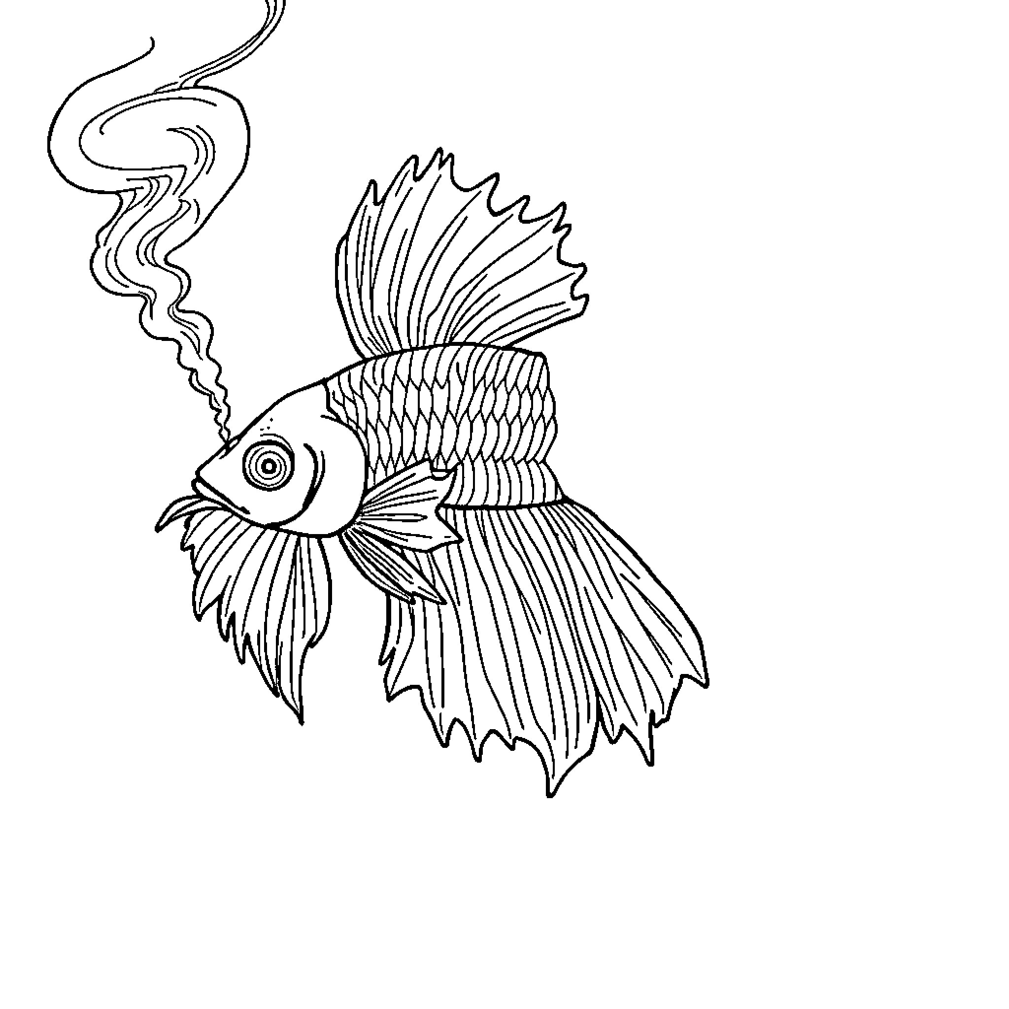 Betta Fish Showcasing Dramatic Fins Coloring Page (free black-and-white line drawing printable PDF for all, from beginners to advanced learners, including children, teens, adults, and seniors)