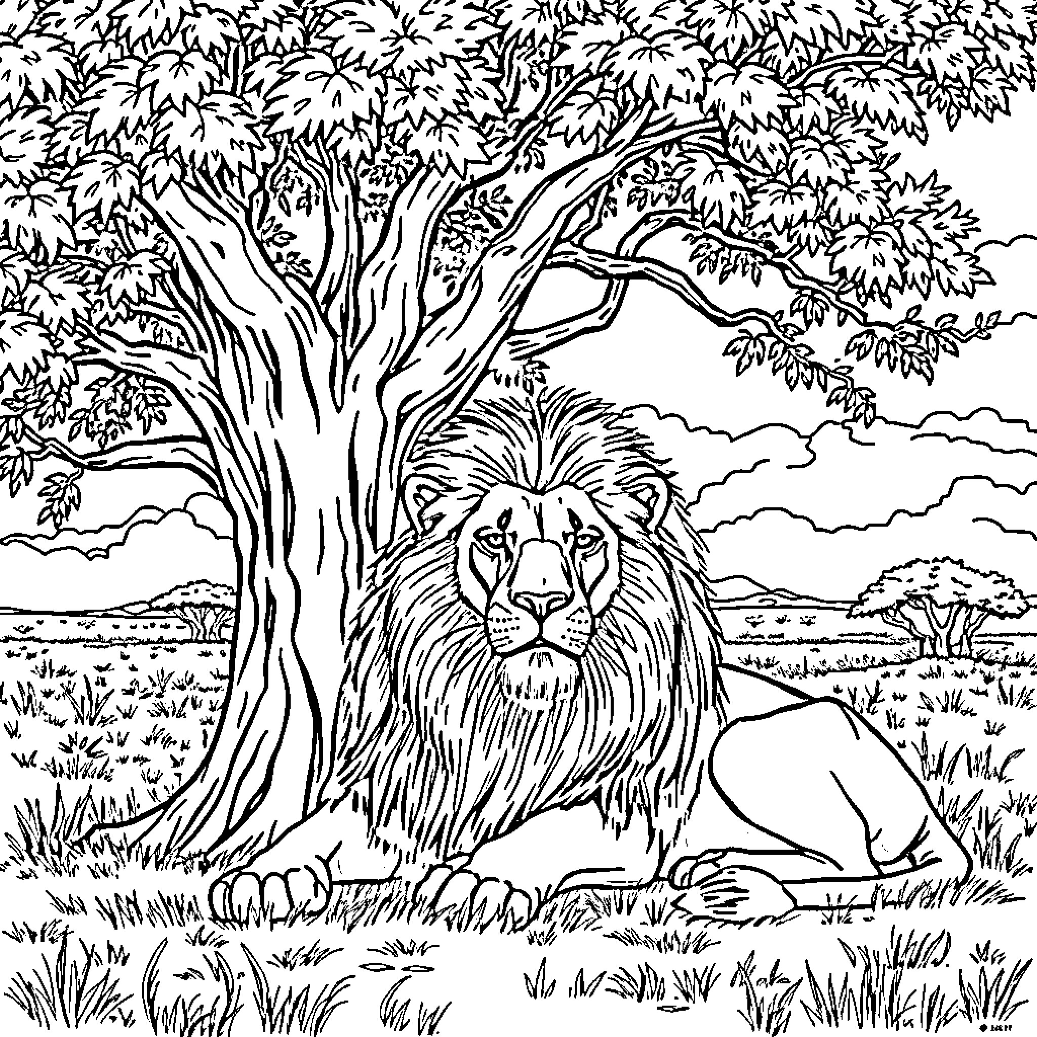 Lion resting under the shade of a large tree Coloring Page (free black-and-white line drawing printable PDF for all, from beginners to advanced learners, including children, teens, adults, and seniors)