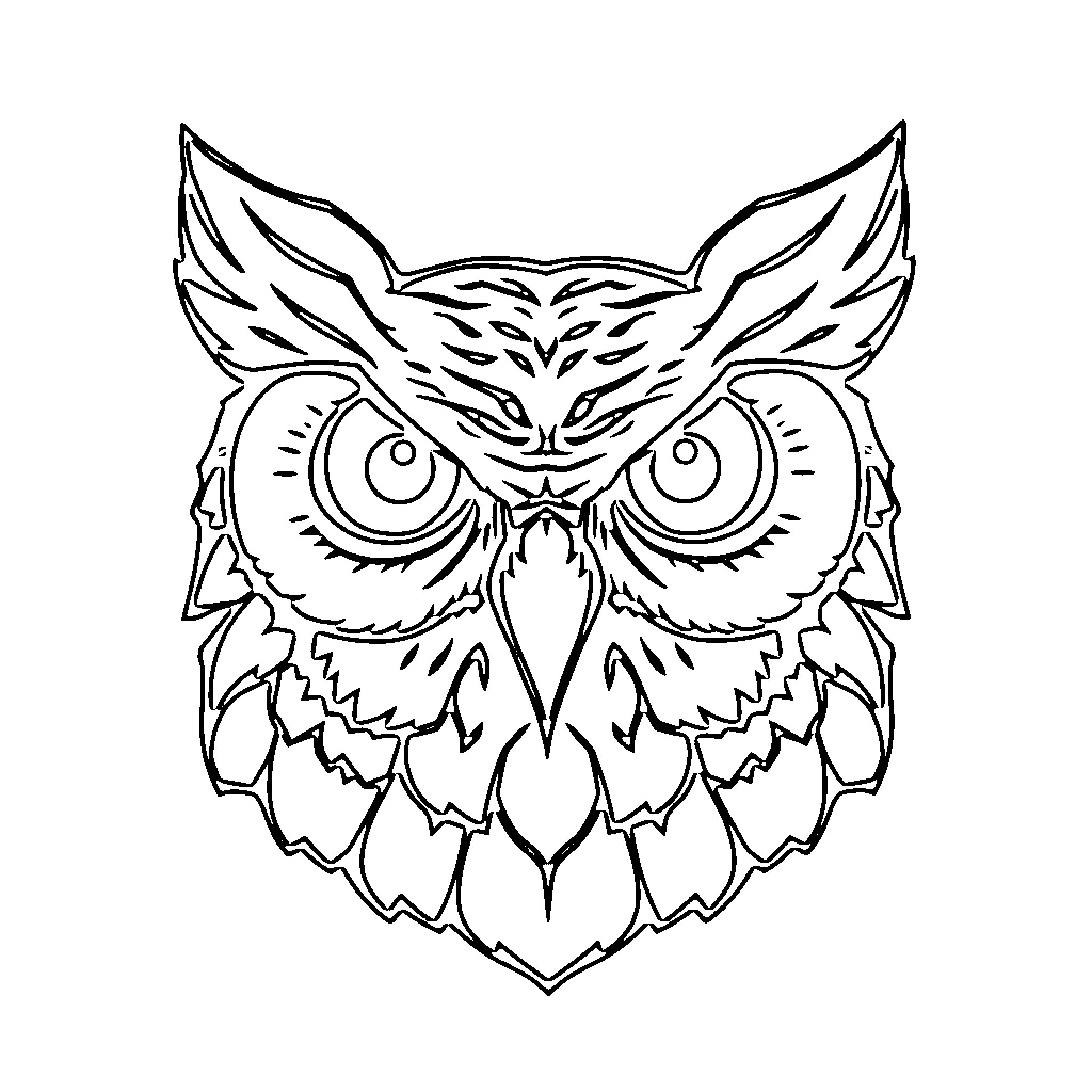 Owl with intense expression Coloring Page (free black-and-white line drawing printable PDF for all, from beginners to advanced learners, including children, teens, adults, and seniors)