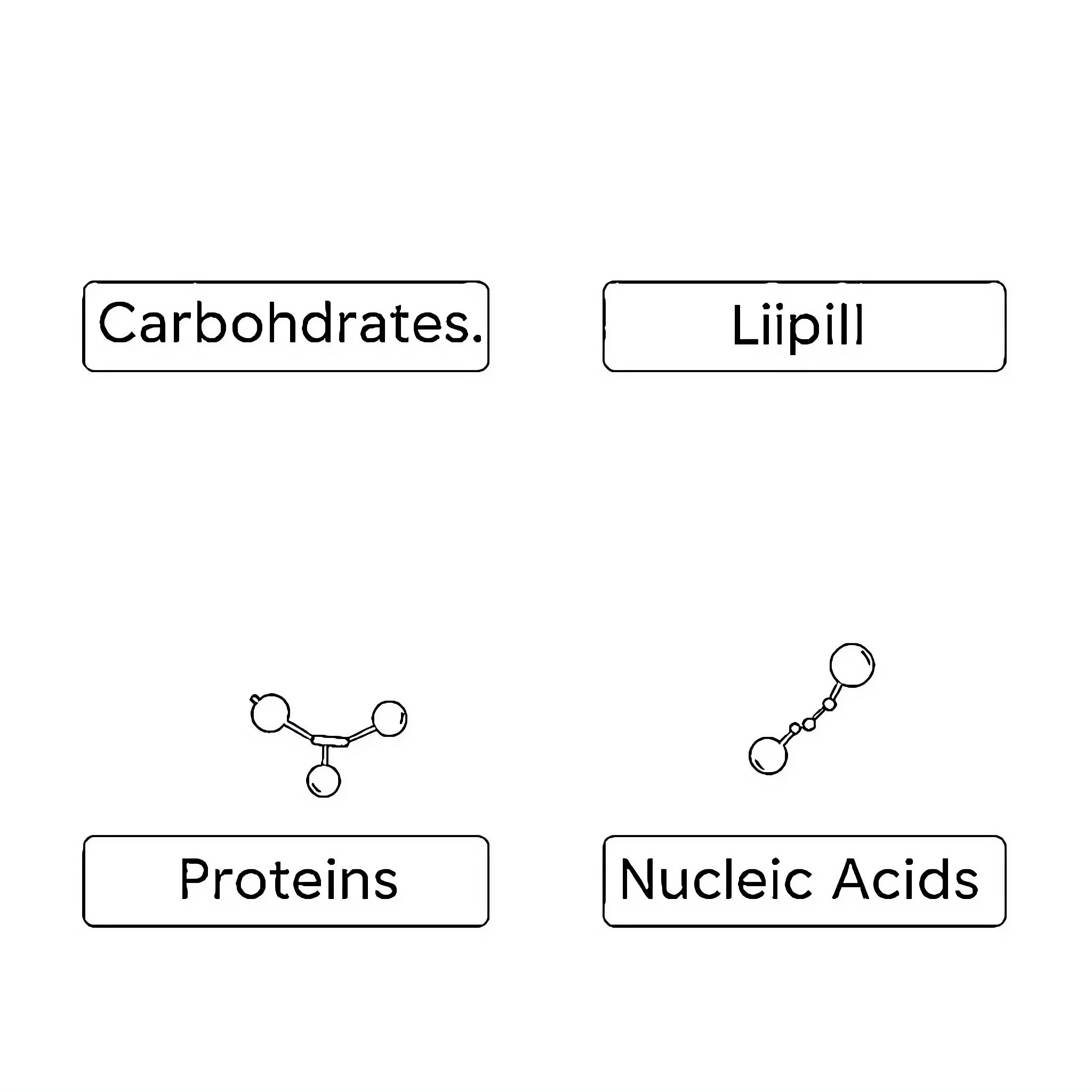 Biomolecule representations in a scientific diagram Coloring Page (free black-and-white line drawing printable PDF for all, from beginners to advanced learners, including children, teens, adults, and seniors)