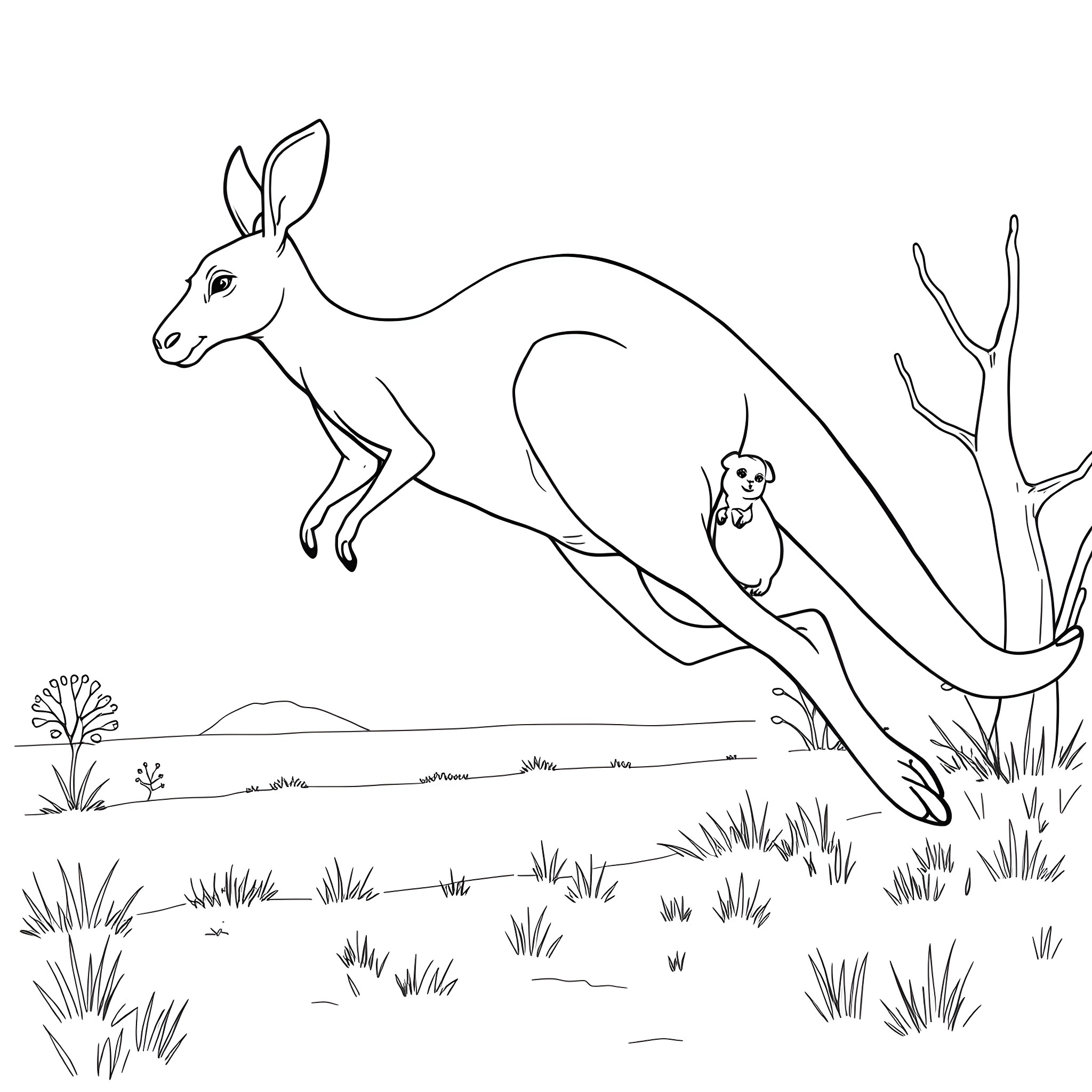 Kangaroo hopping through the grassy field Coloring Page (free black-and-white line drawing printable PDF for all, from beginners to advanced learners, including children, teens, adults, and seniors)