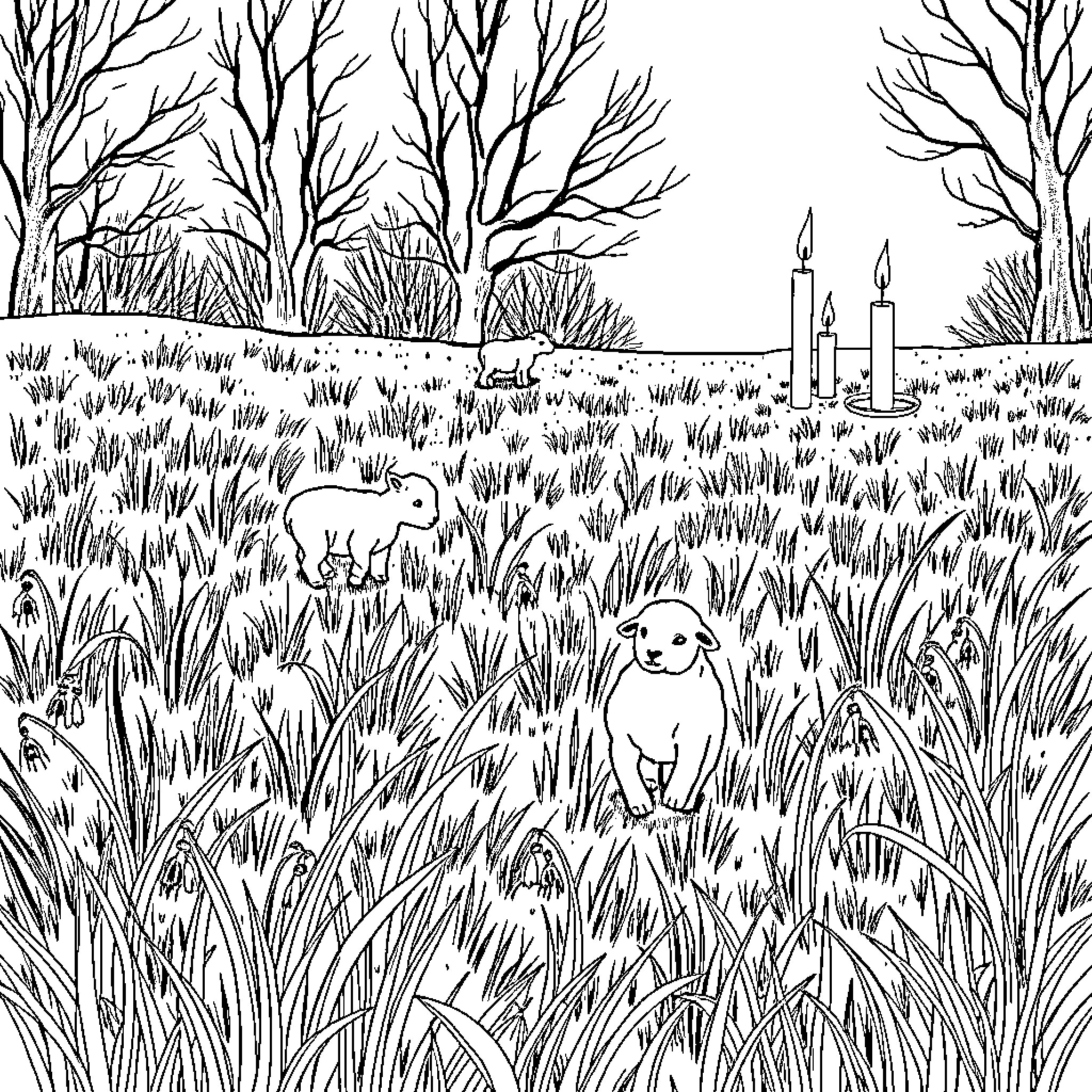 Lamb exploring a serene woodland landscape Coloring Page (free black-and-white line drawing printable PDF for all, from beginners to advanced learners, including children, teens, adults, and seniors)