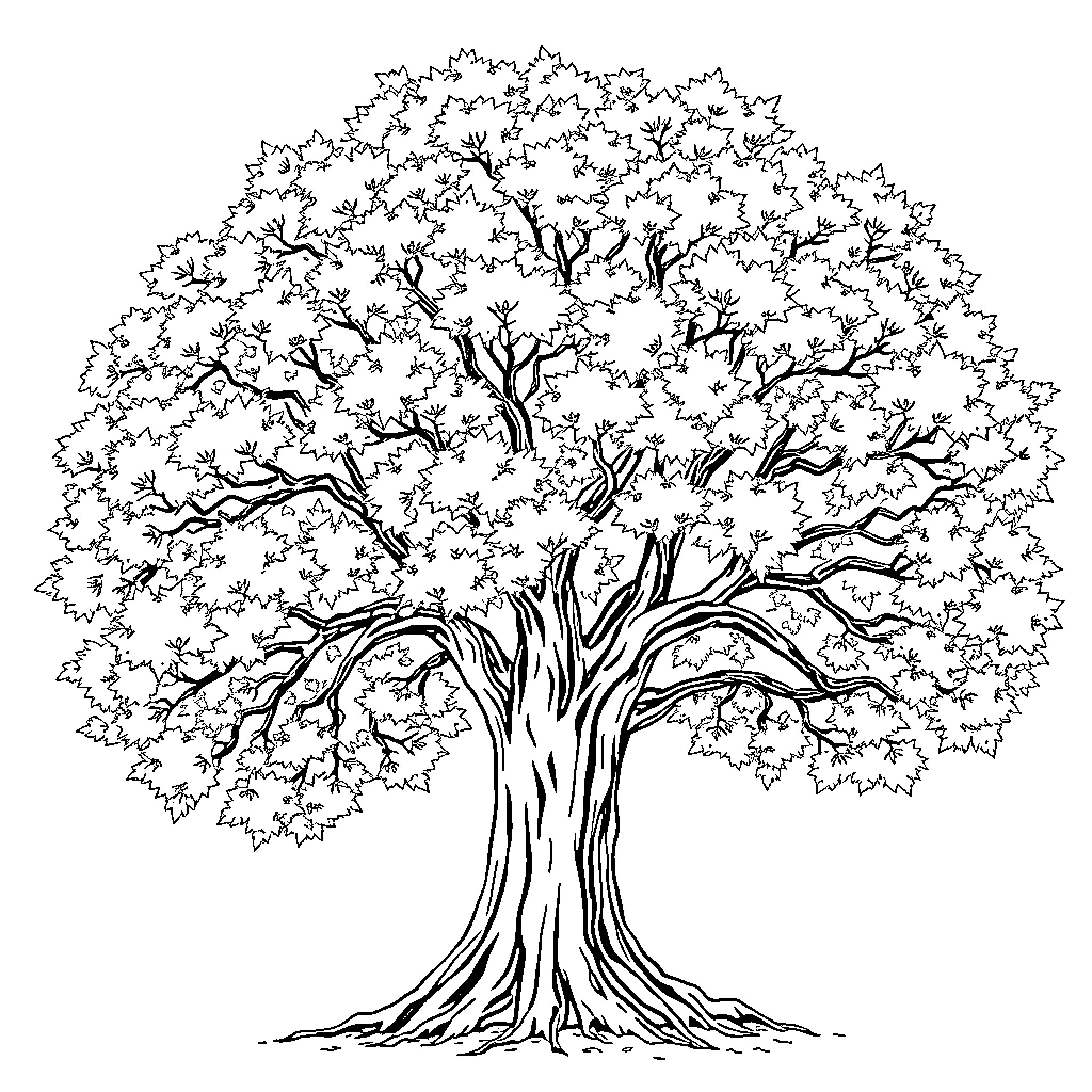 Tree with intricate branch patterns Coloring Page (free black-and-white line drawing printable PDF for all, from beginners to advanced learners, including children, teens, adults, and seniors)