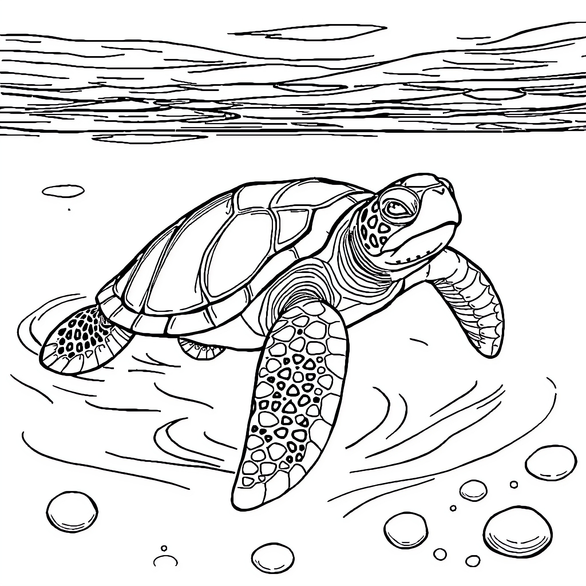 Turtle swimming in the ocean Coloring Page (free black-and-white line drawing printable PDF for all, from beginners to advanced learners, including children, teens, adults, and seniors)
