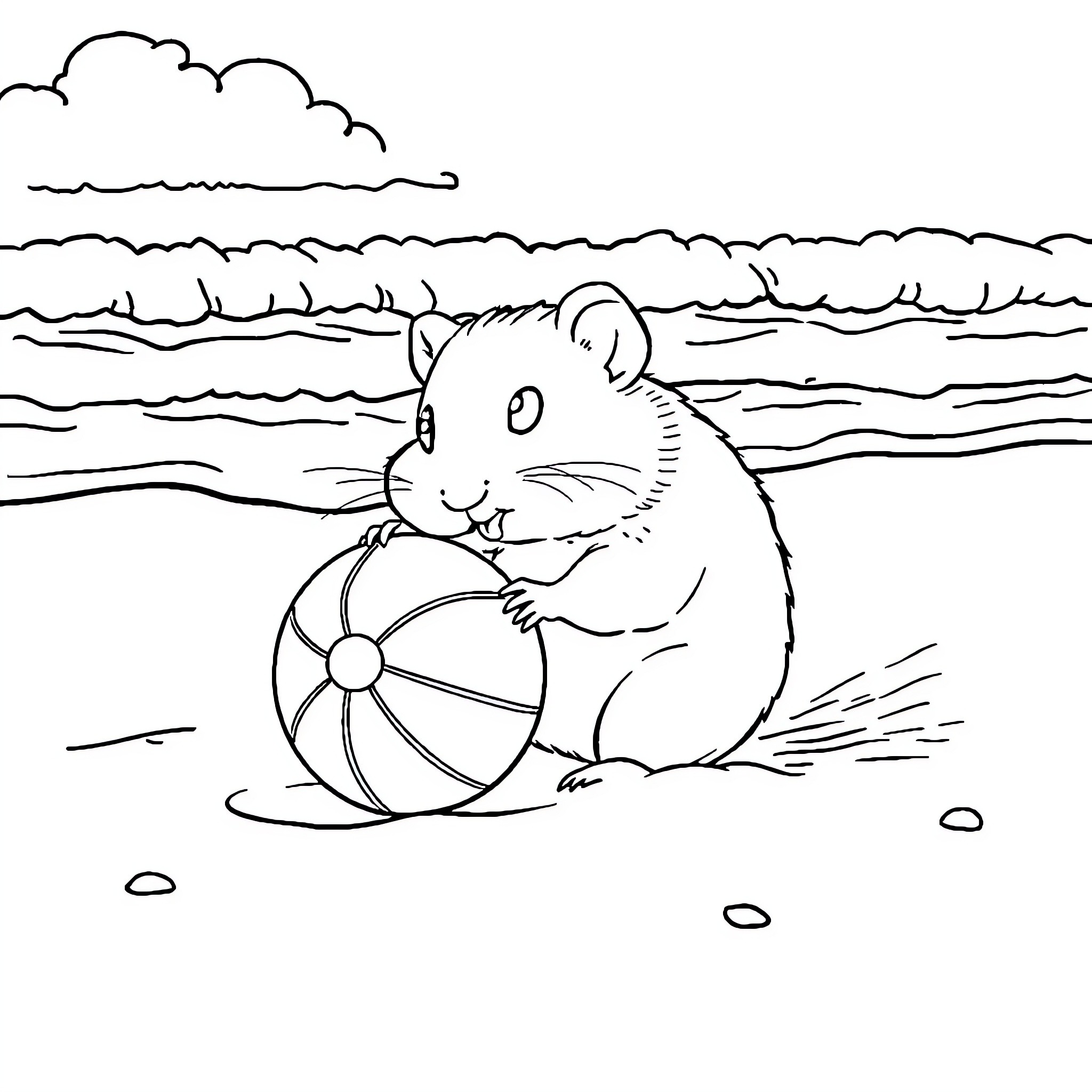 Hamster playing with beach ball on shore Coloring Page (free black-and-white line drawing printable PDF for all, from beginners to advanced learners, including children, teens, adults, and seniors)