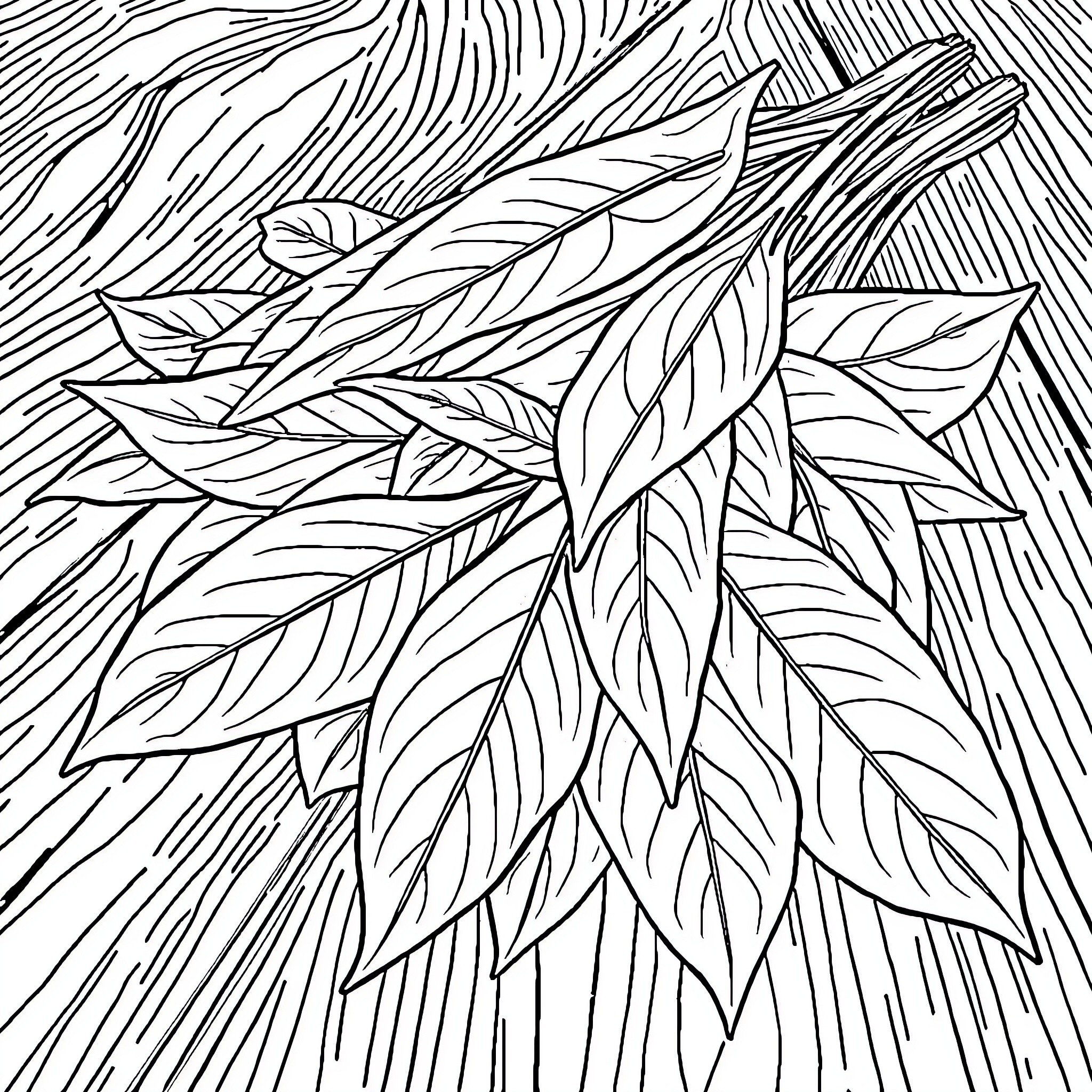 Basil's Vibrant Foliage Coloring Page (free black-and-white line drawing printable PDF for all, from beginners to advanced learners, including children, teens, adults, and seniors)