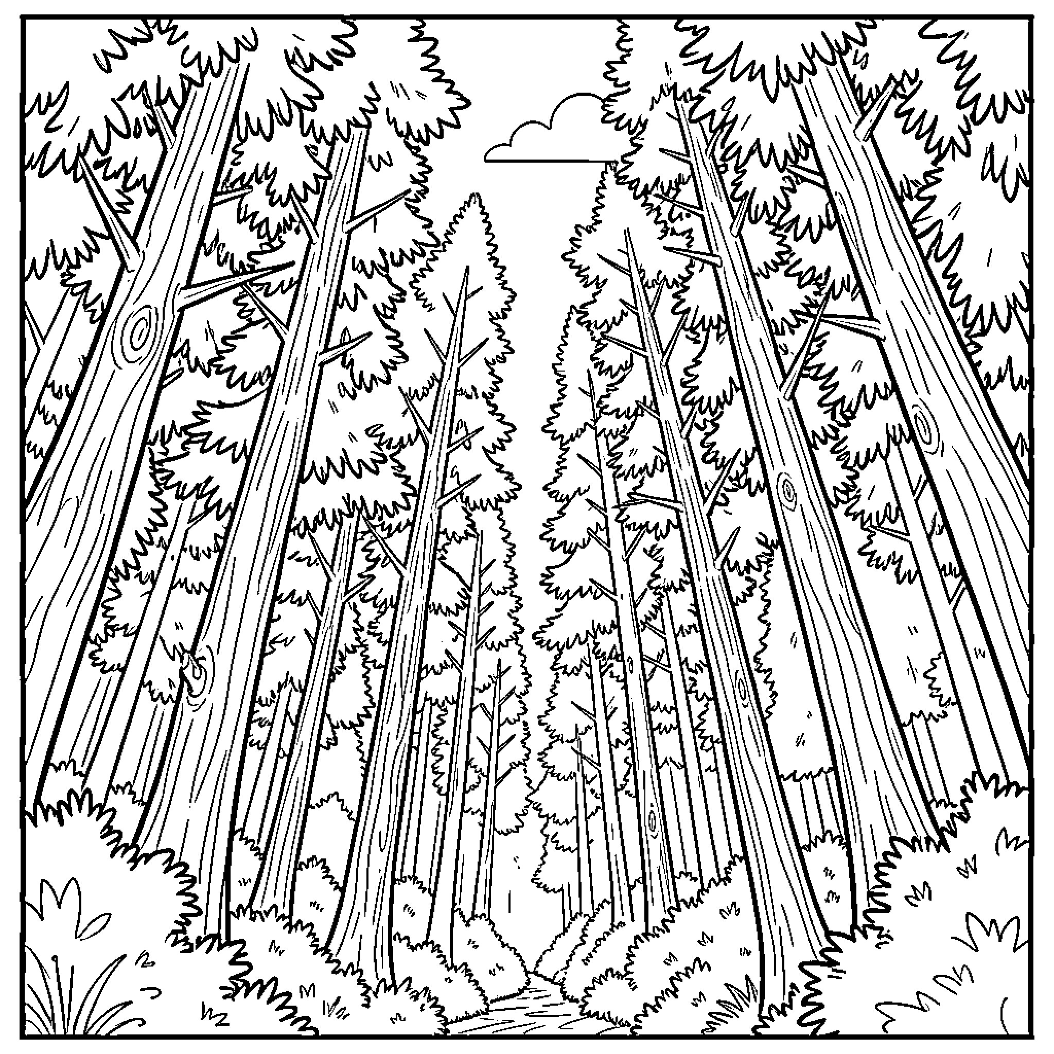 Tree-lined path through the forest Coloring Page (free black-and-white line drawing printable PDF for all, from beginners to advanced learners, including children, teens, adults, and seniors)