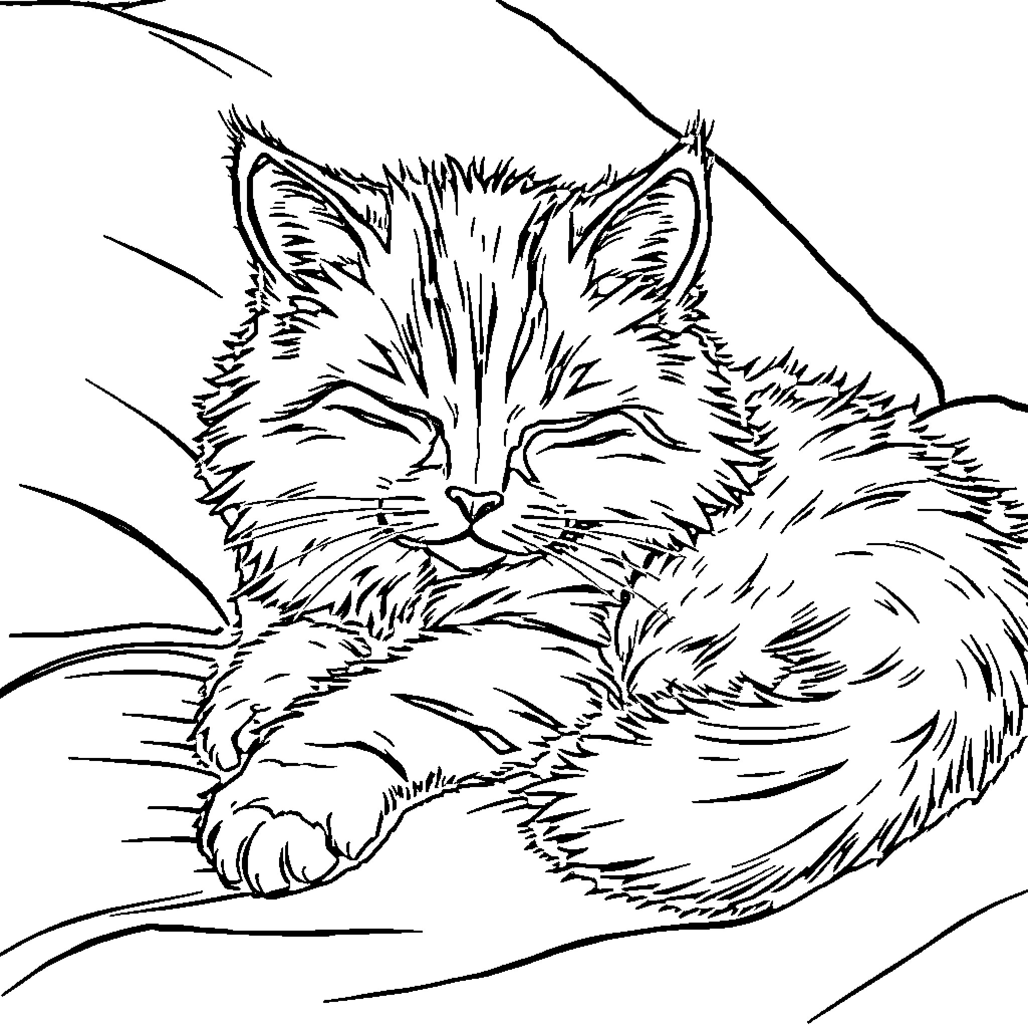 Cat resting peacefully Coloring Page (free black-and-white line drawing printable PDF for all, from beginners to advanced learners, including children, teens, adults, and seniors)