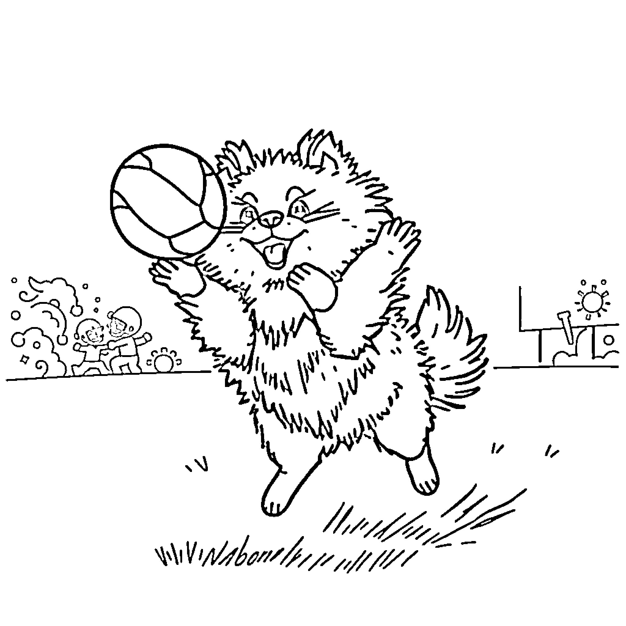 Pomeranian chasing after a bouncing ball Coloring Page (free black-and-white line drawing printable PDF for all, from beginners to advanced learners, including children, teens, adults, and seniors)