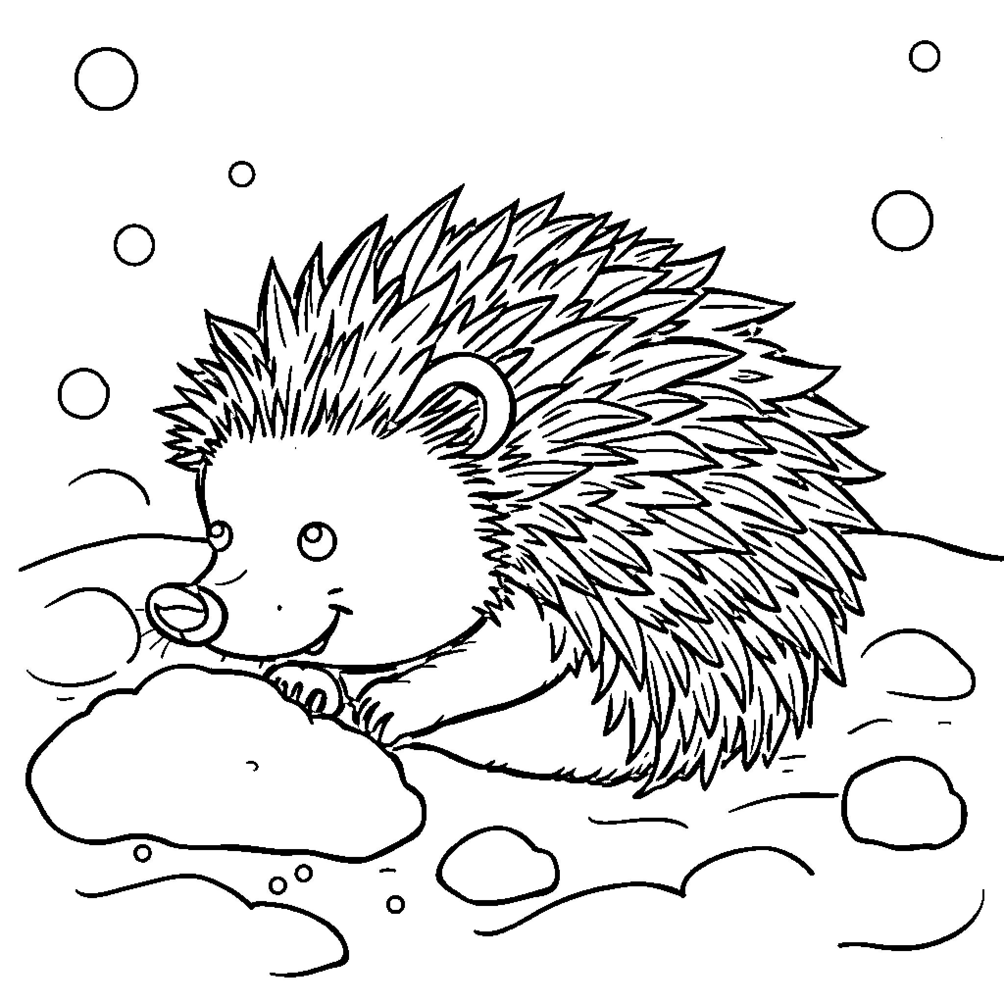 Hedgehog resting on the clouds Coloring Page (free black-and-white line drawing printable PDF for all, from beginners to advanced learners, including children, teens, adults, and seniors)