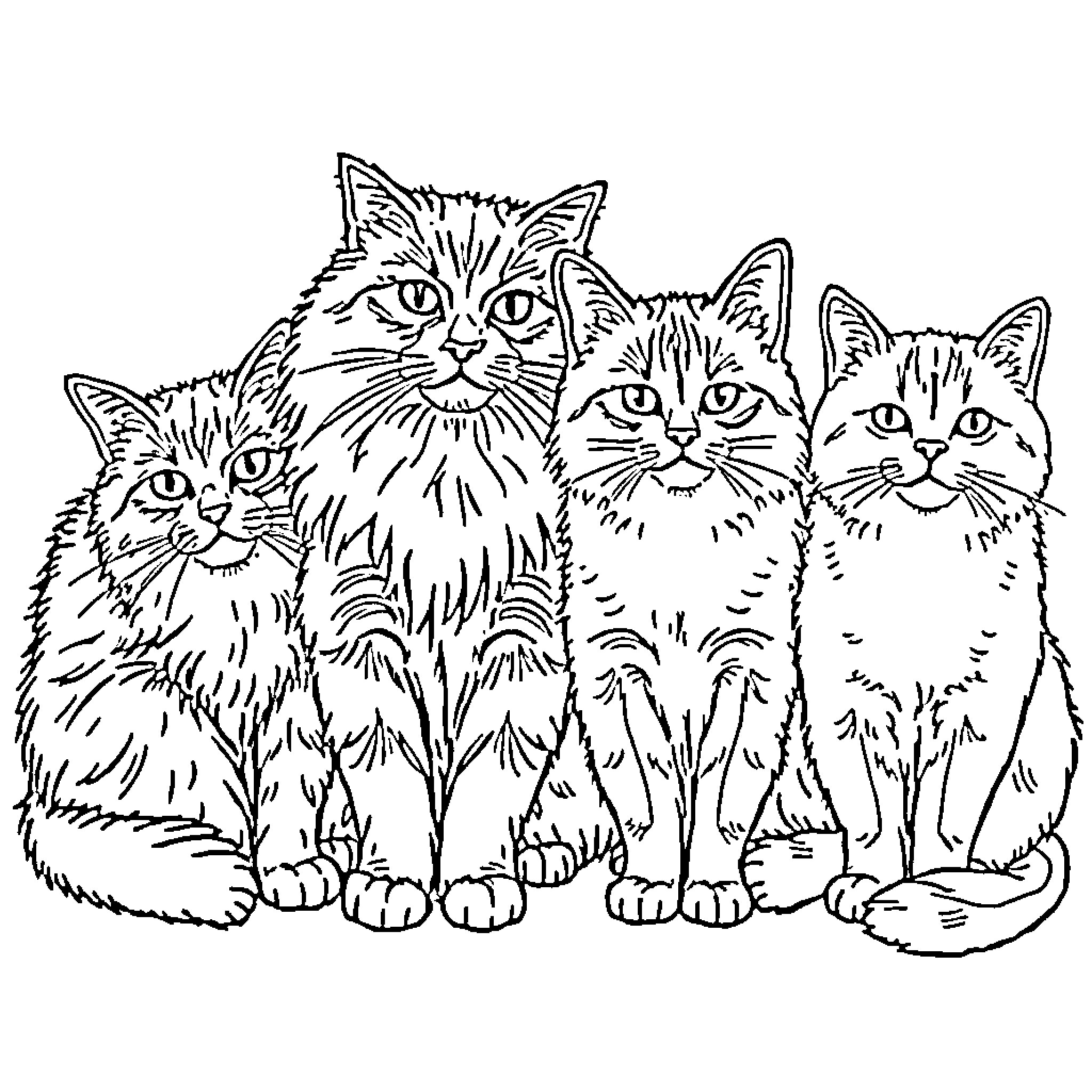 Cat family portrait Coloring Page (free black-and-white line drawing printable PDF for all, from beginners to advanced learners, including children, teens, adults, and seniors)