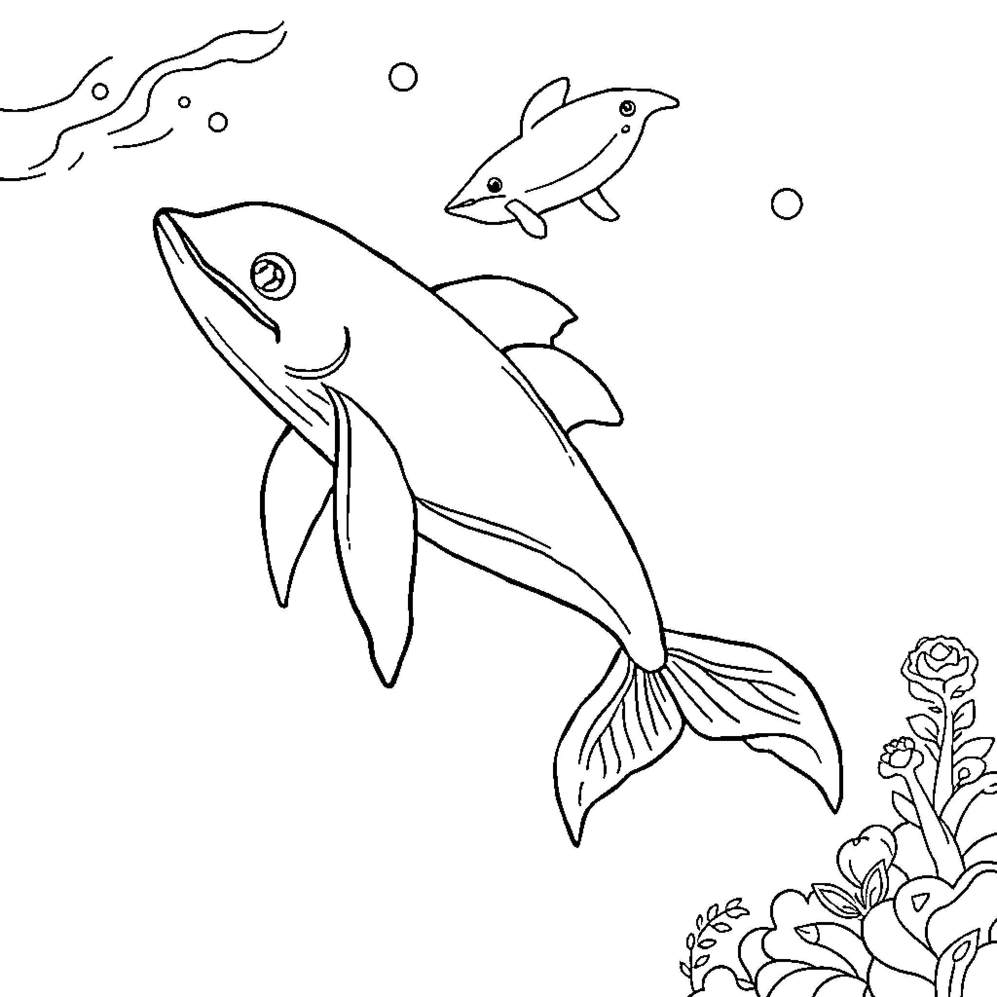 Seal swimming playfully with small fish in the sea Coloring Page (free black-and-white line drawing printable PDF for all, from beginners to advanced learners, including children, teens, adults, and seniors)