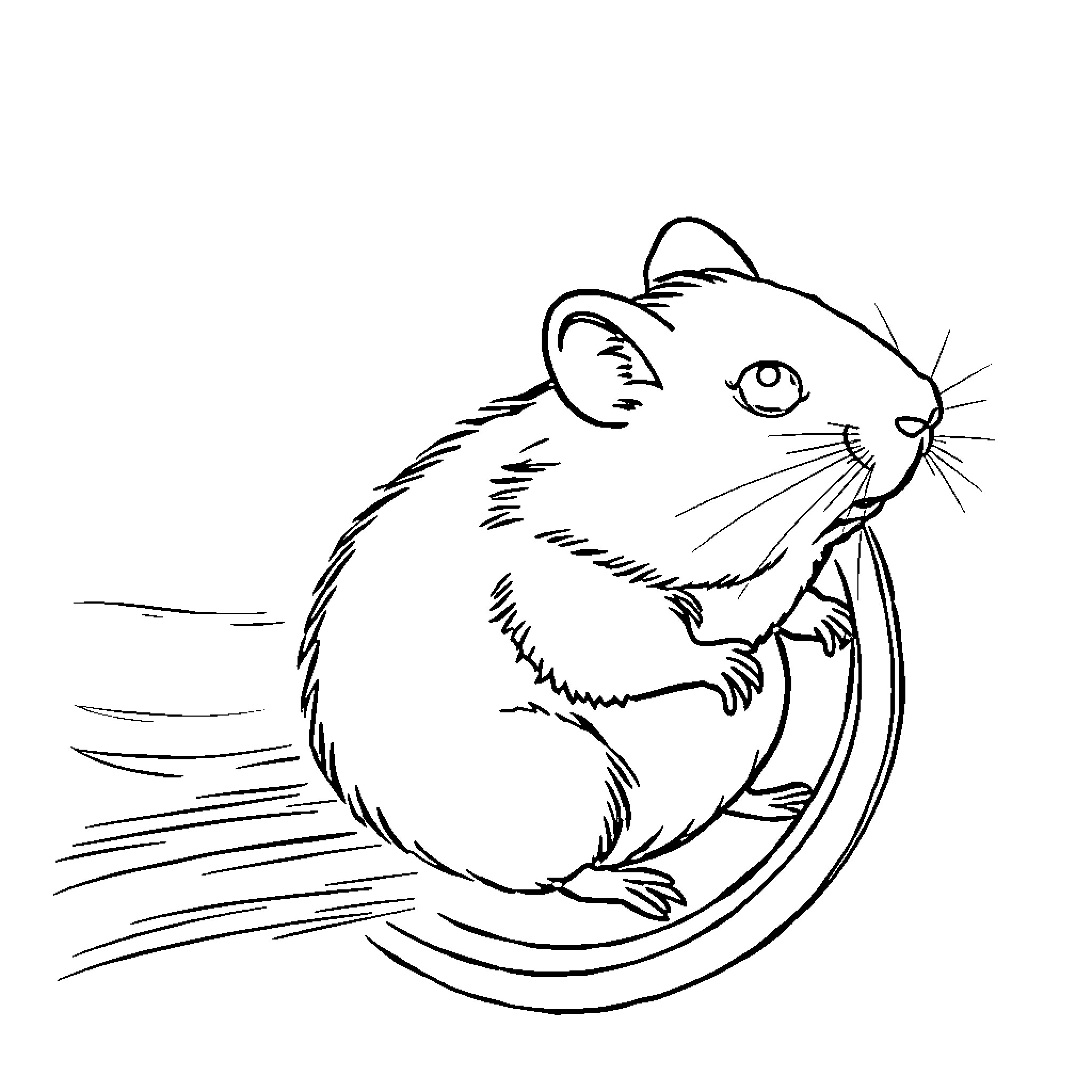 Hamster scurrying through the maze Coloring Page (free black-and-white line drawing printable PDF for all, from beginners to advanced learners, including children, teens, adults, and seniors)