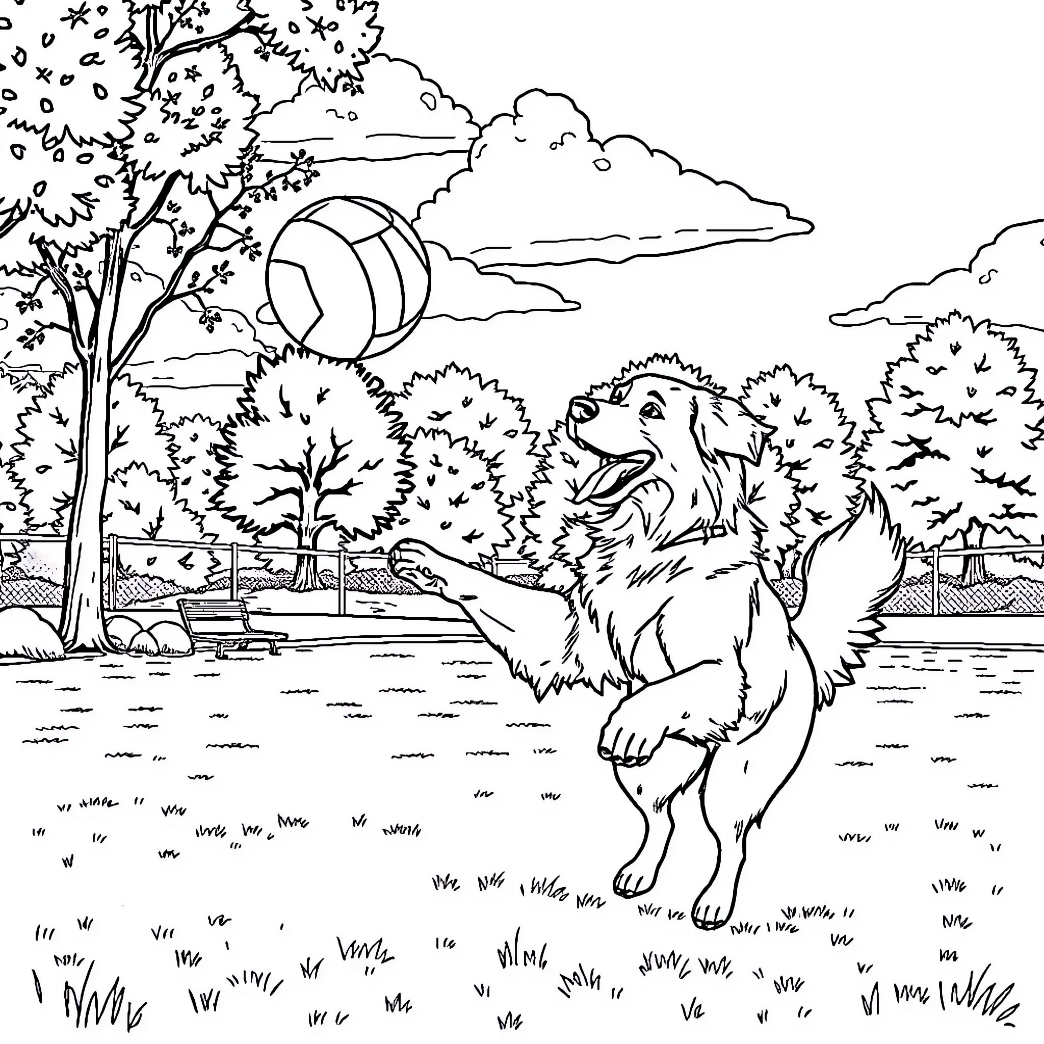 Golden Retriever playing with a ball in the park Coloring Page (free black-and-white line drawing printable PDF for all, from beginners to advanced learners, including children, teens, adults, and seniors)