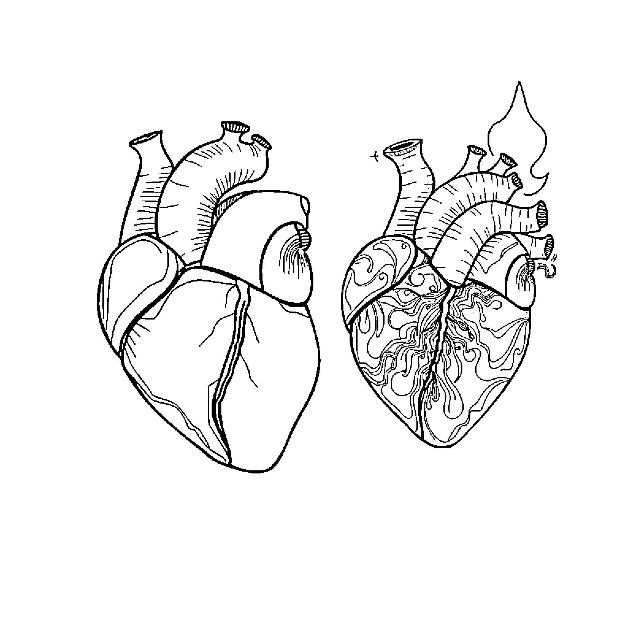 Heart's Intricate Artistry Coloring Page (free black-and-white line drawing printable PDF for all, from beginners to advanced learners, including children, teens, adults, and seniors)