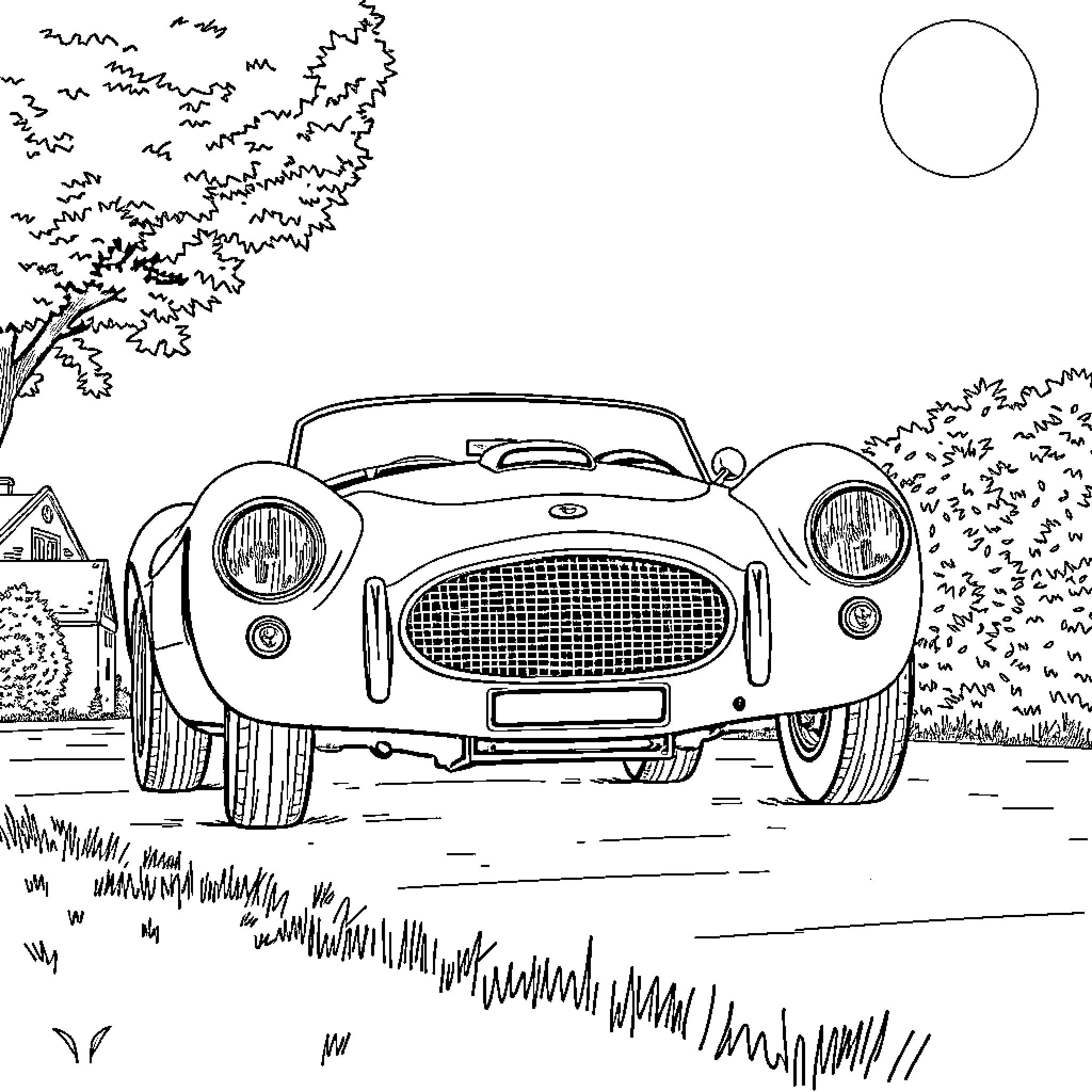 Lister D Type classic sports car in nature Coloring Page (free black-and-white line drawing printable PDF for all, from beginners to advanced learners, including children, teens, adults, and seniors)